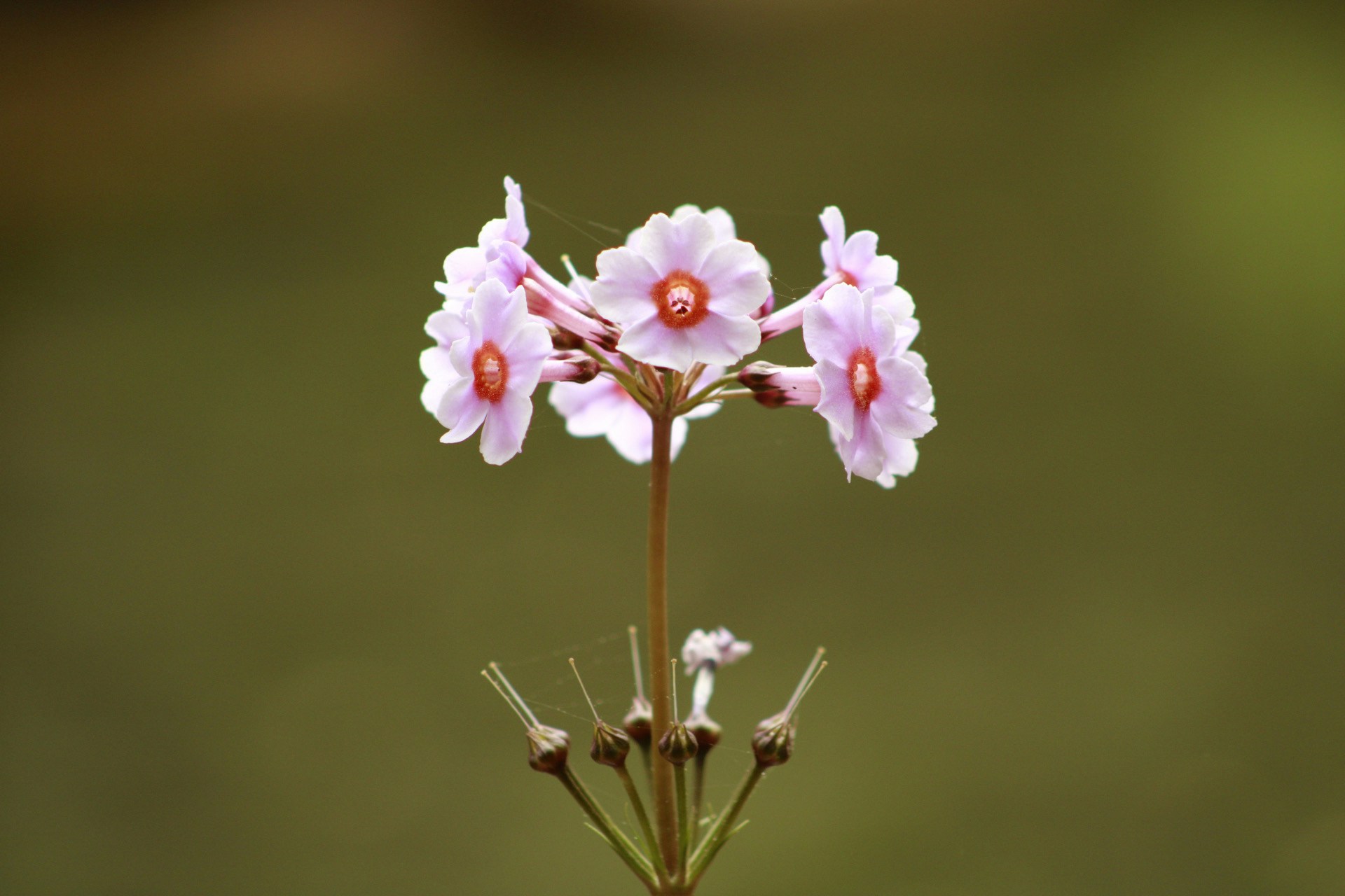 Go to Addy Mae's profile