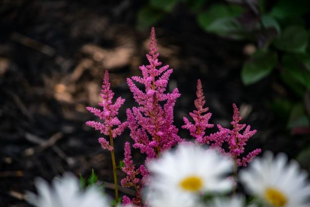 Go to Ryan Balter's profile