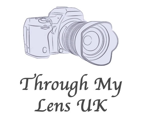 Go to Through My Lens's profile