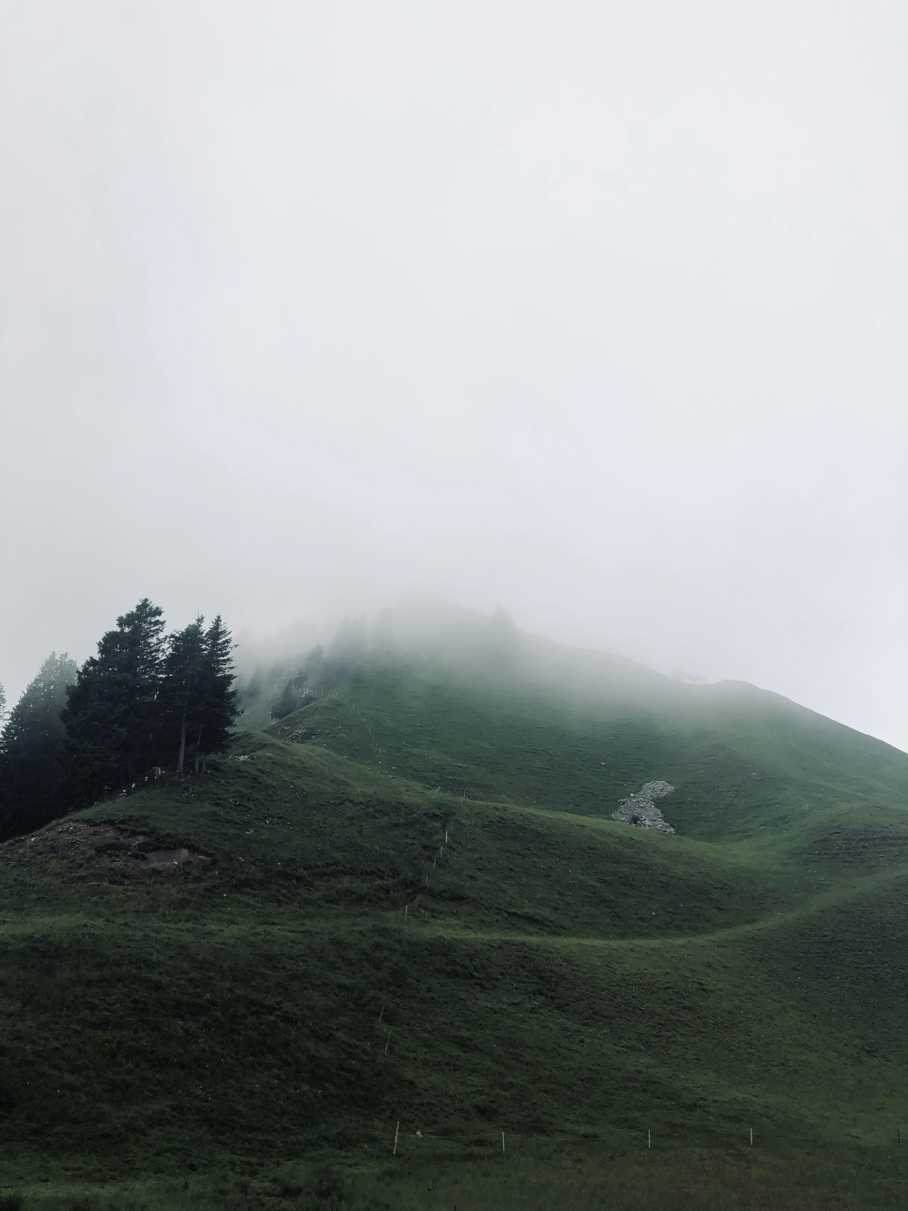 Go to Samuel Hof's profile