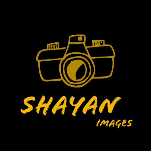 Avatar of user Shayan Godarzi