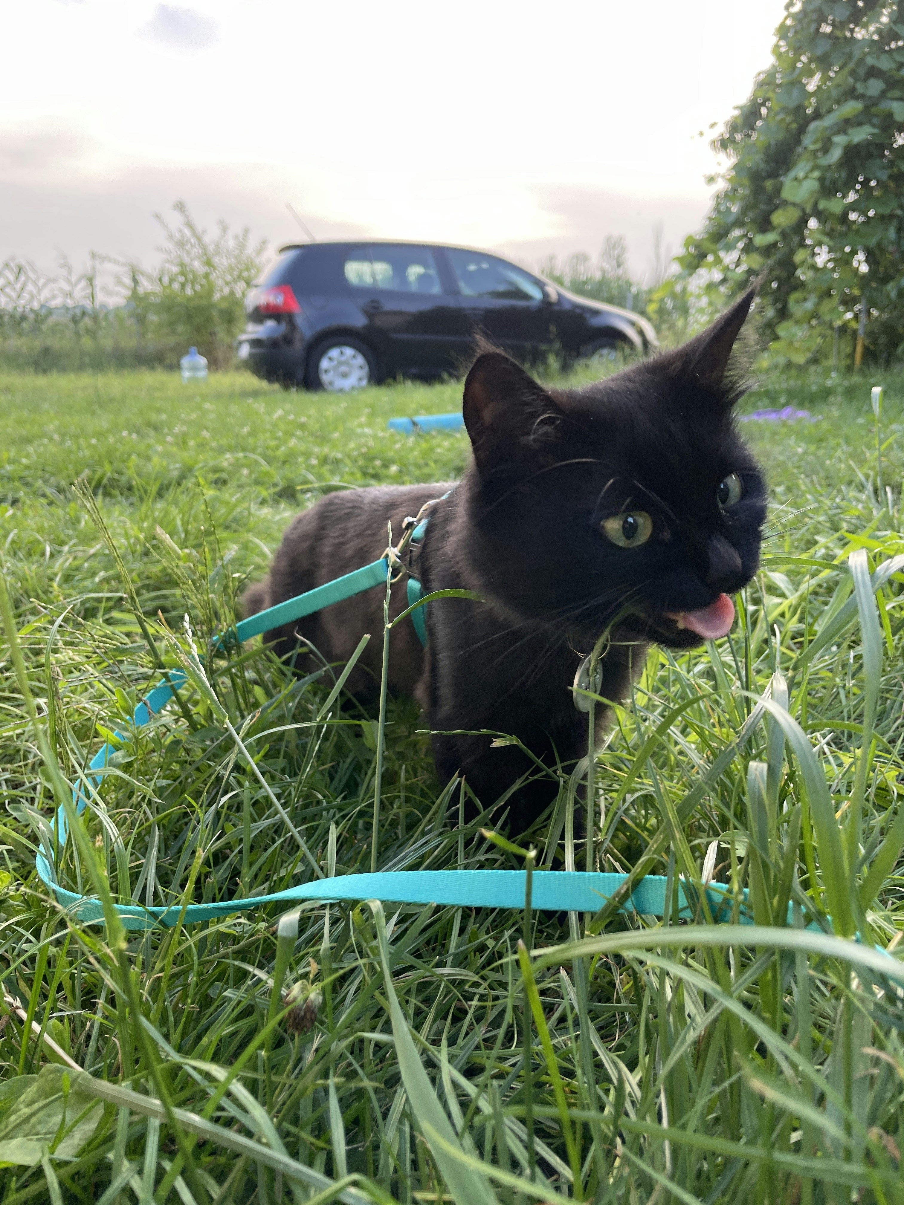 Vai al profilo di Diana Hryshko