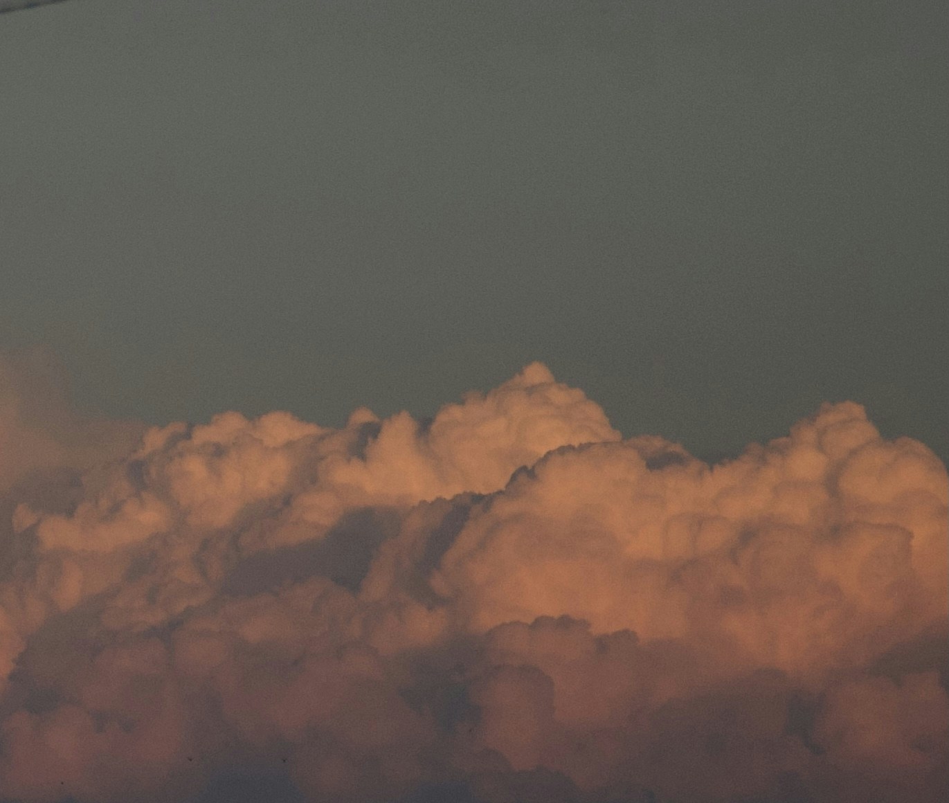 Avatar of user Silvana Wälchli