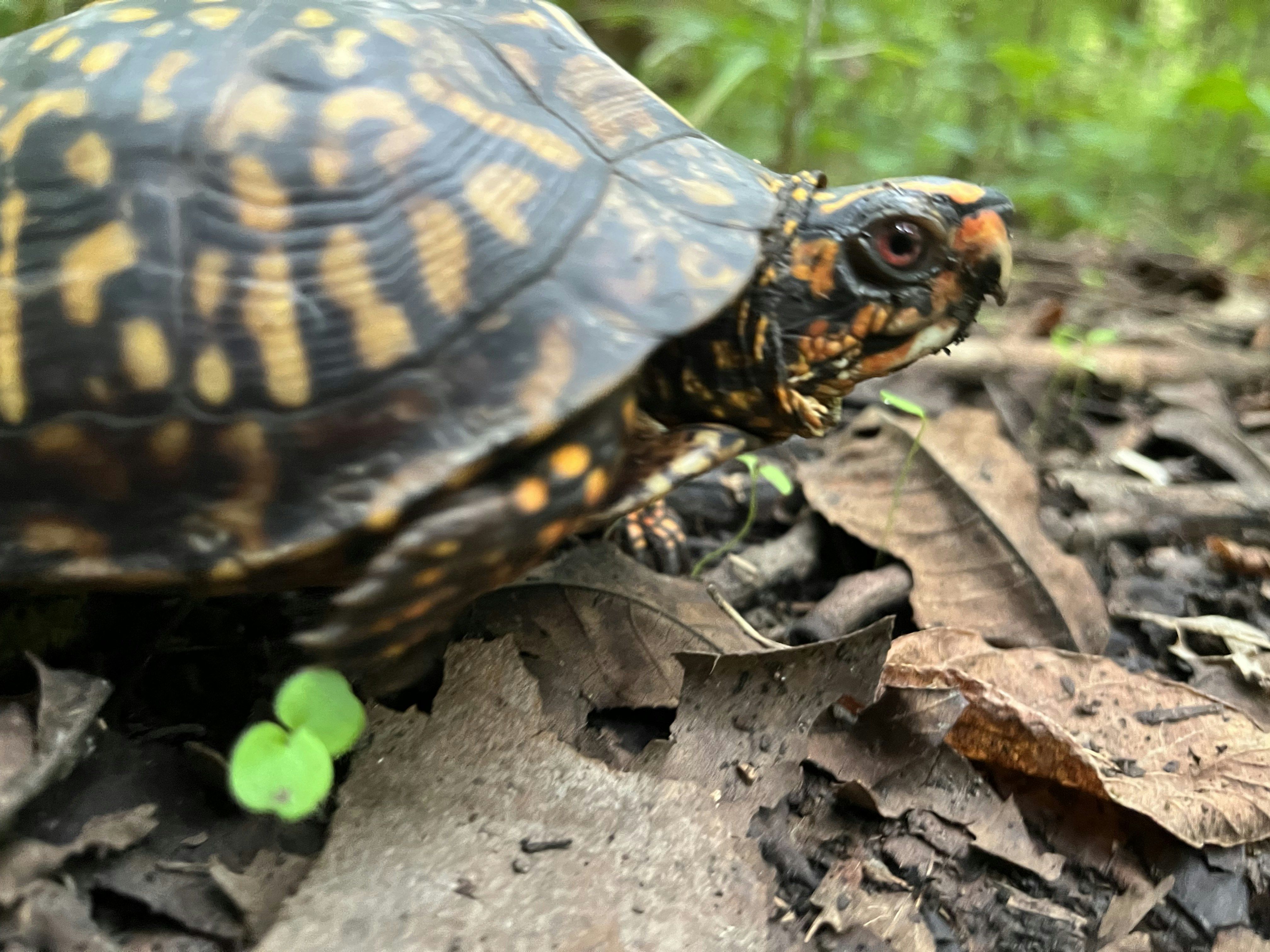 Zum Profil von Debra Manny Mosley