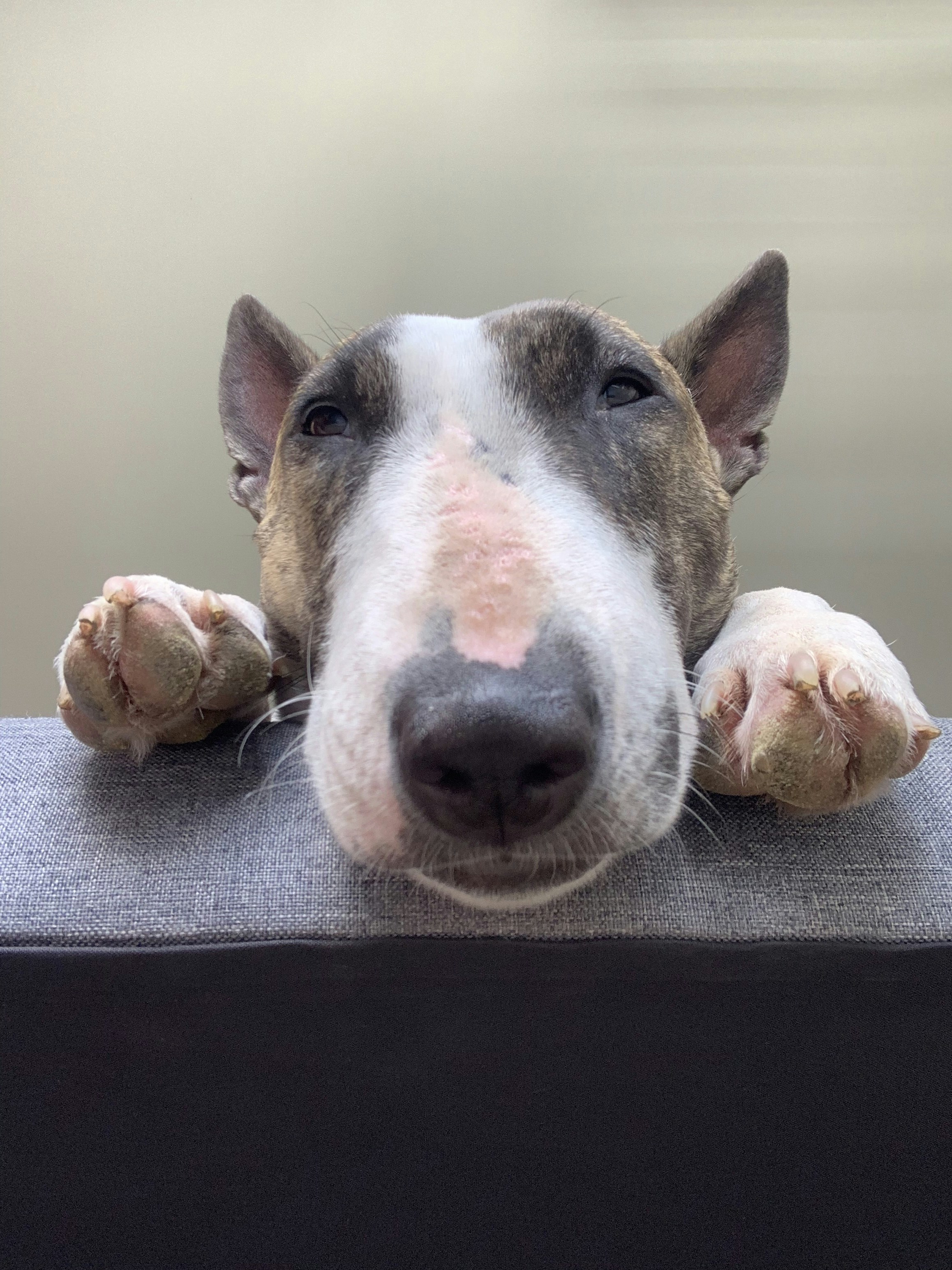 Go to Felipe Cardona's profile