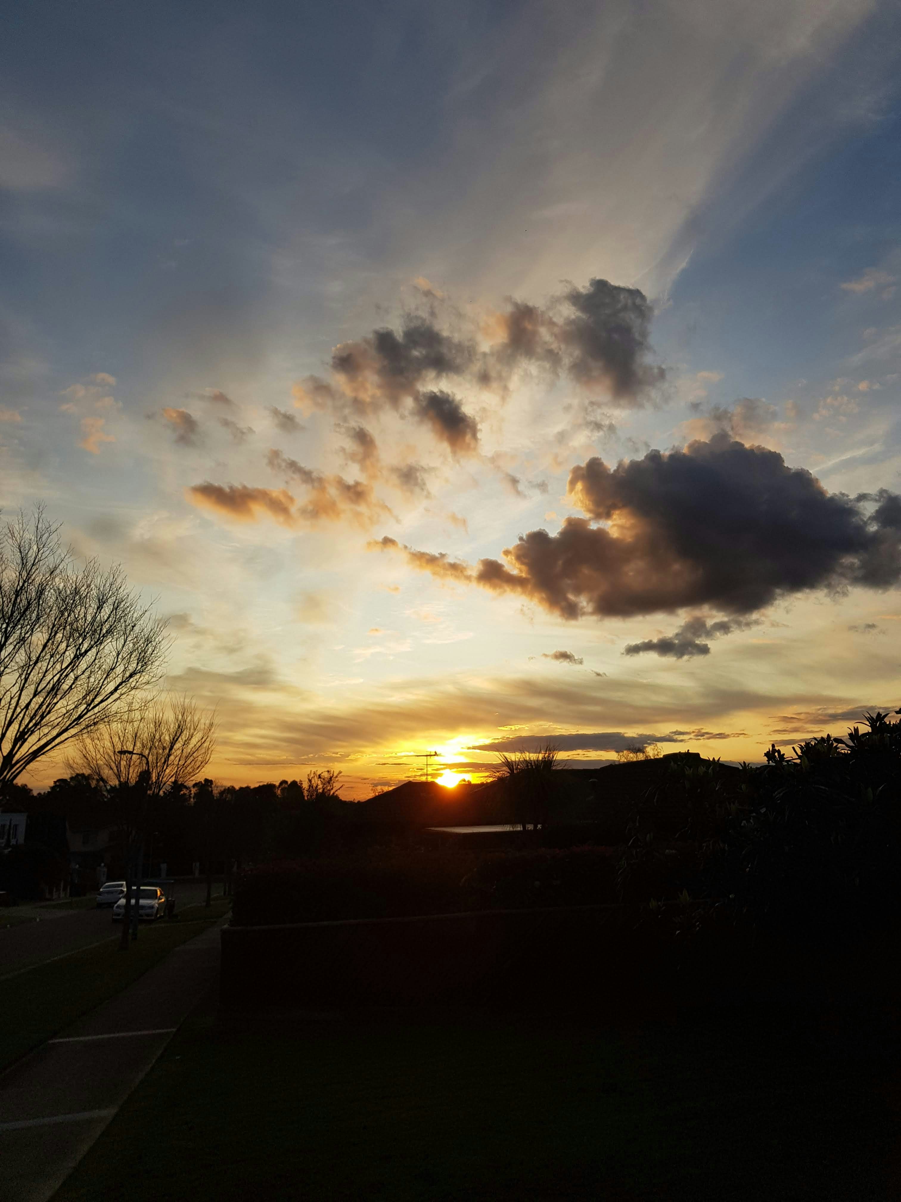 Go to Bethany Zwag's profile