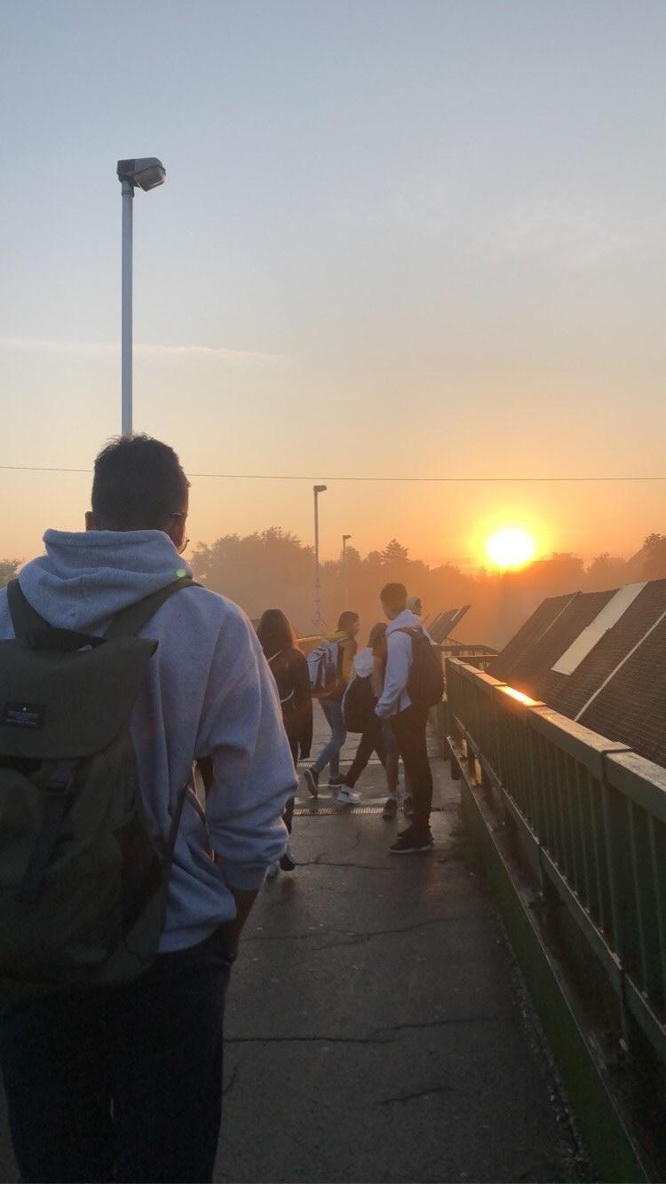 Go to Roland Szabó's profile