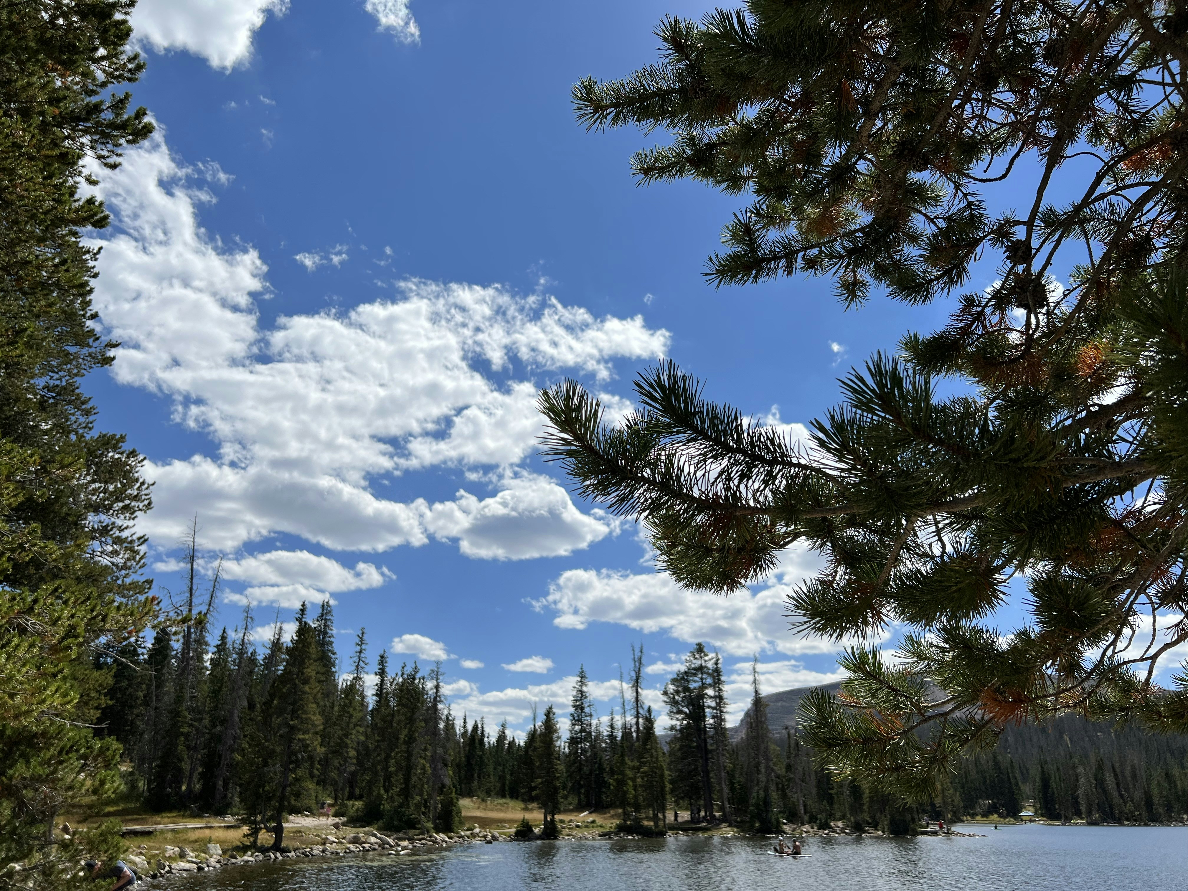 Vai al profilo di mbjjmusic