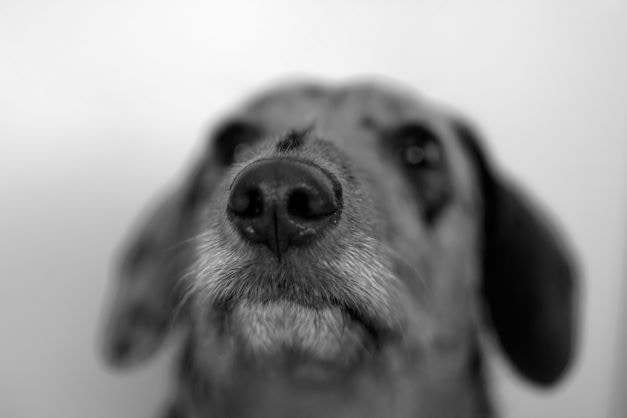 Go to Gabriella Louw's profile