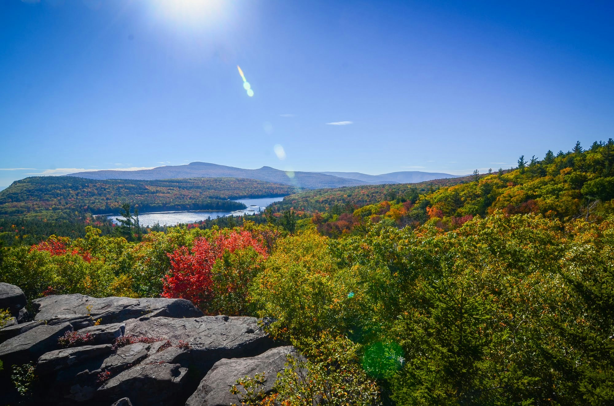 Go to New York Suburban Homes's profile