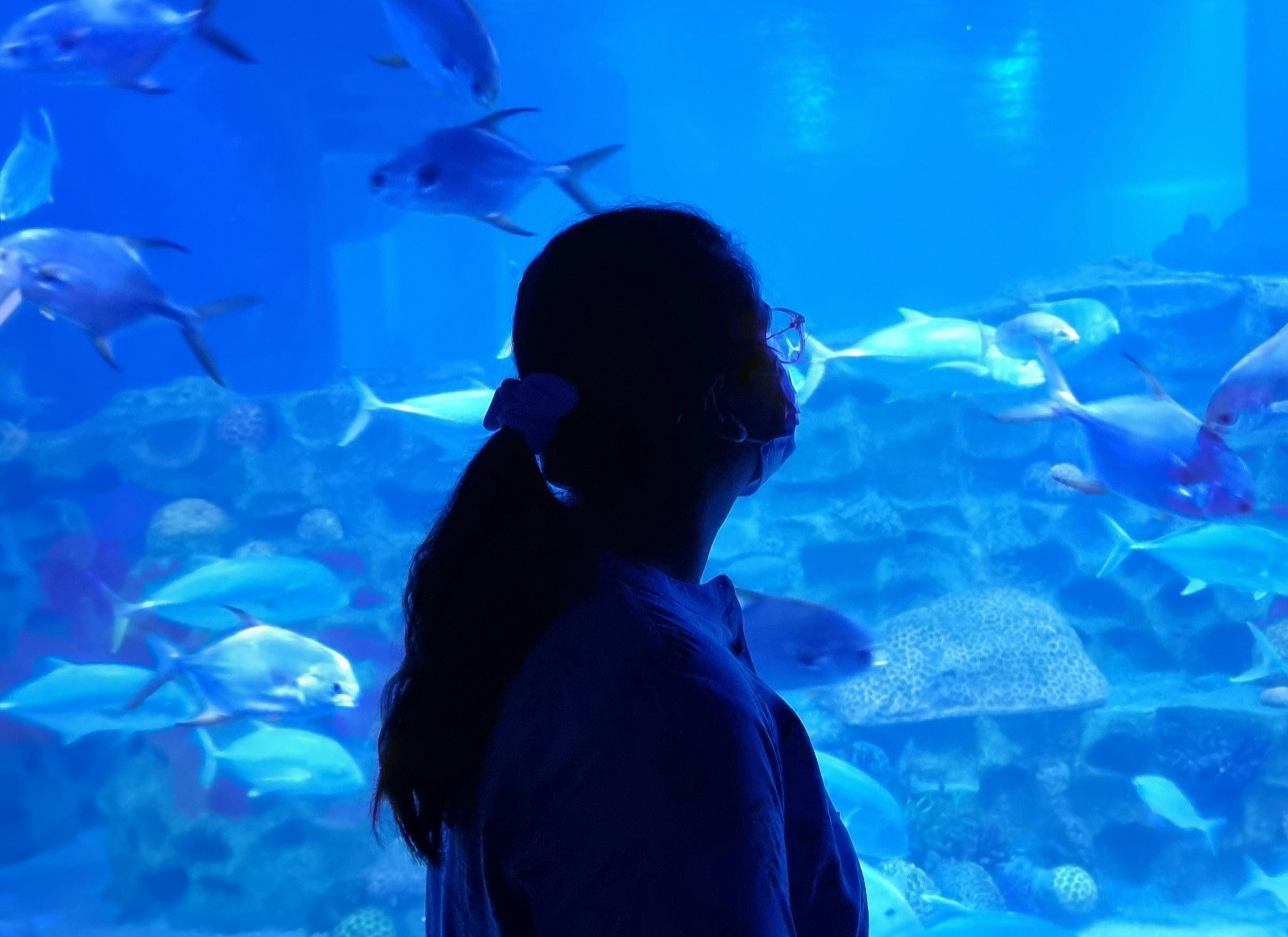 Go to Kavya Lakshmi's profile