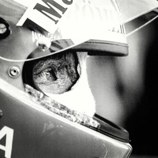 Zum Profil von Batın Şendemir