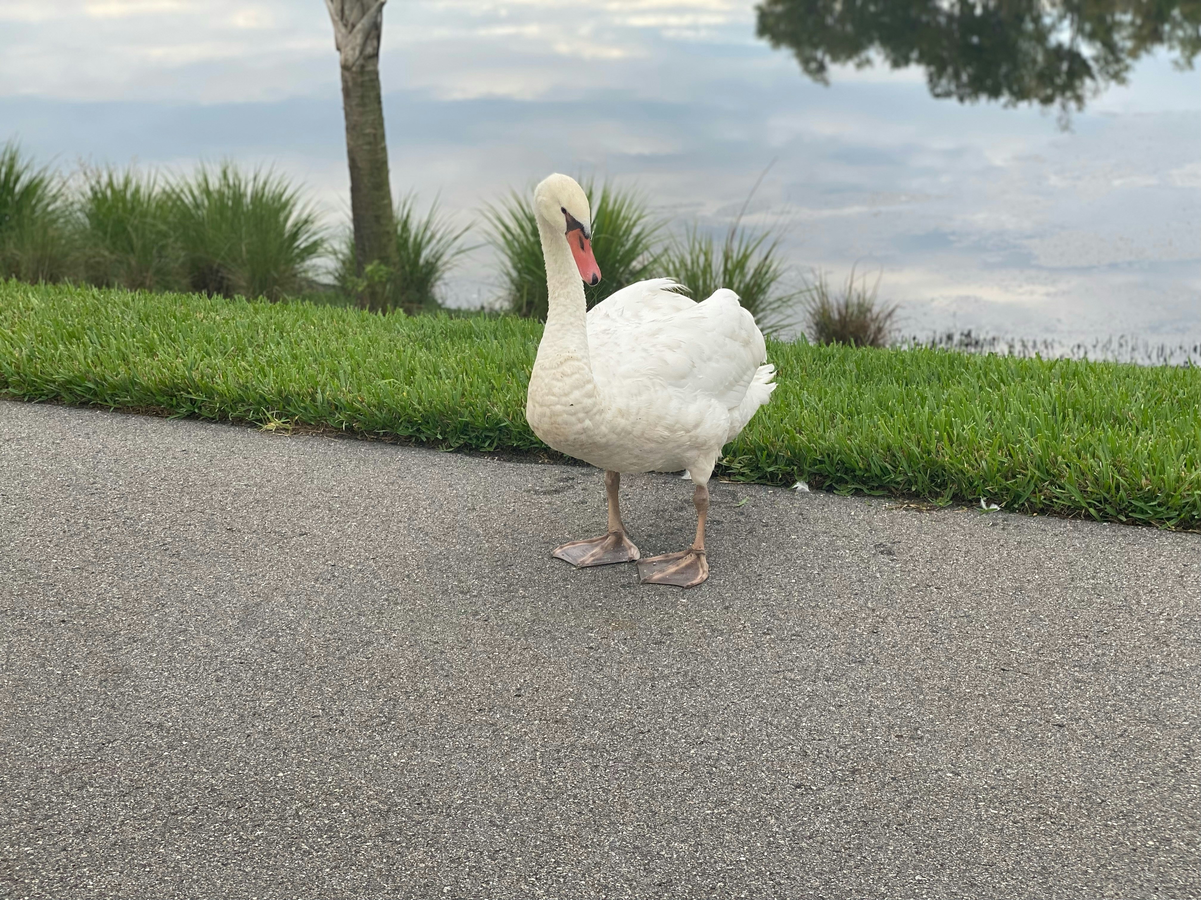 Go to Parker Stanton-Gould's profile