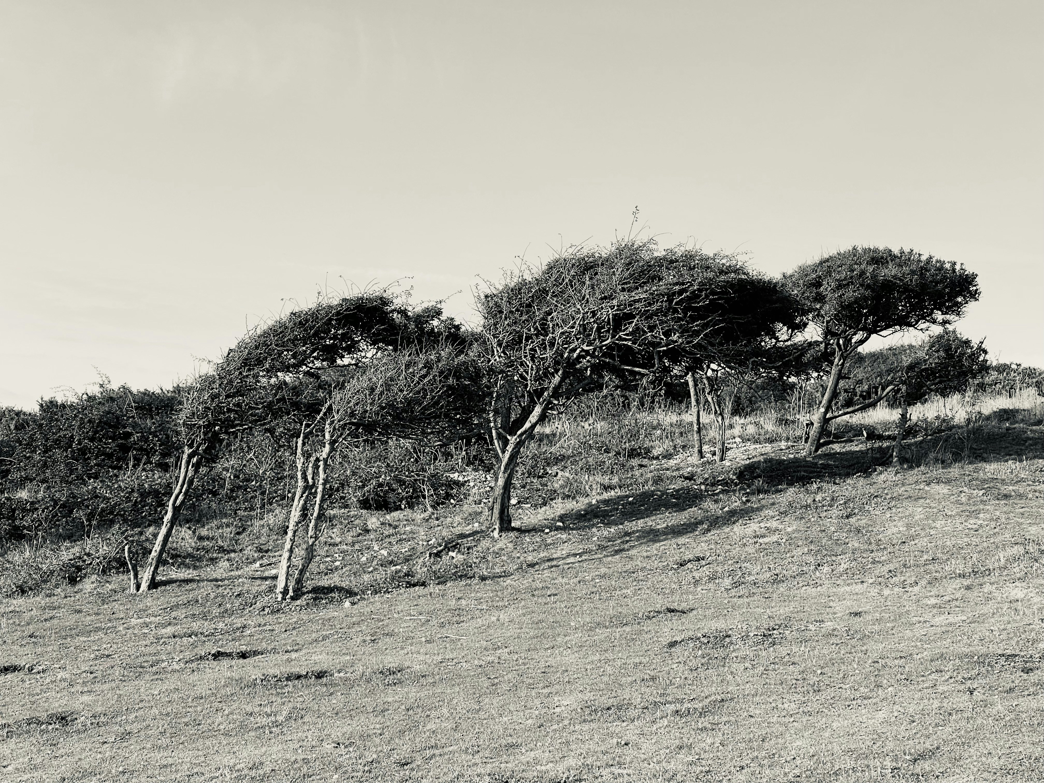 Go to w sh's profile