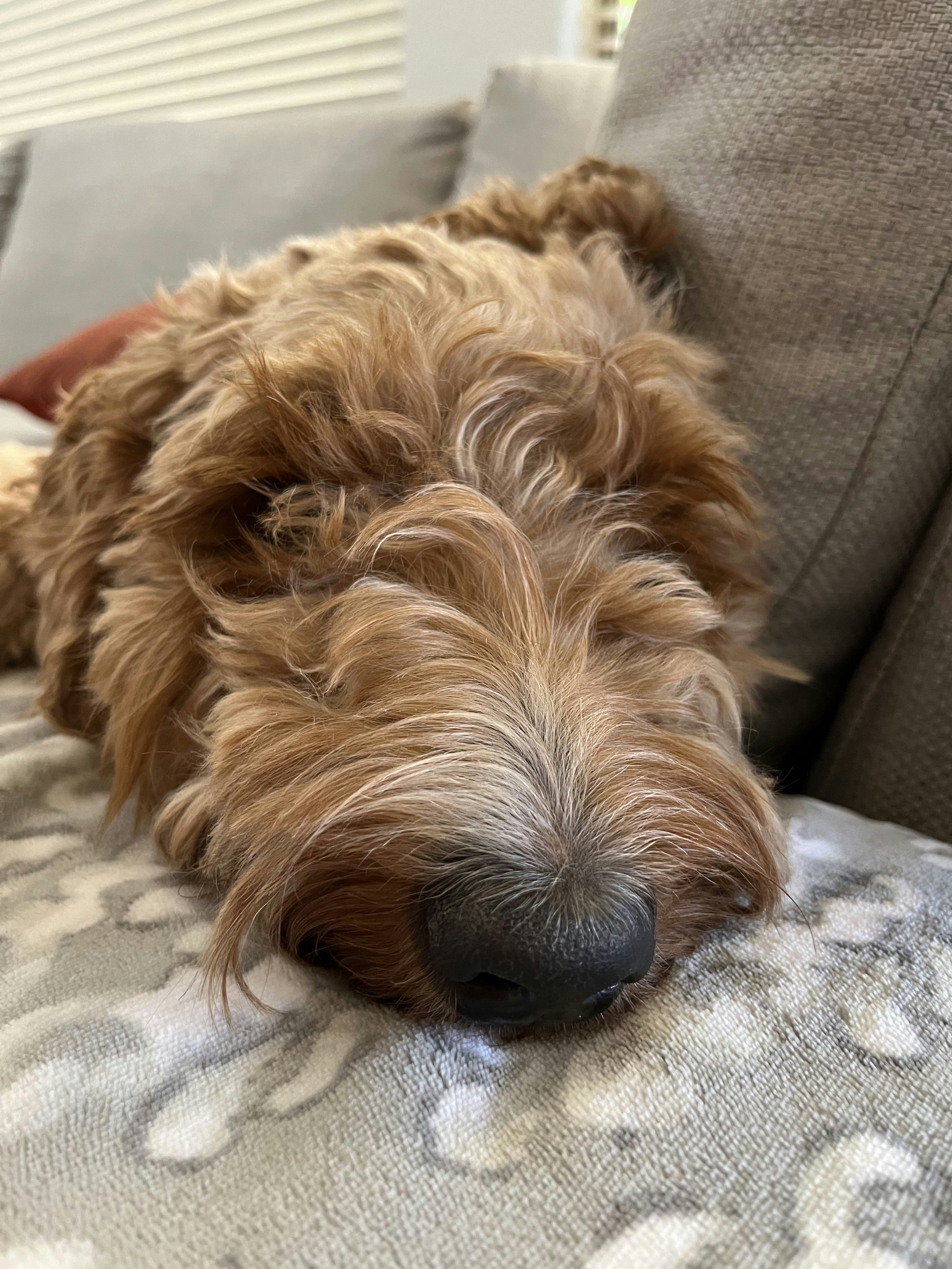 Go to stephen argabright's profile