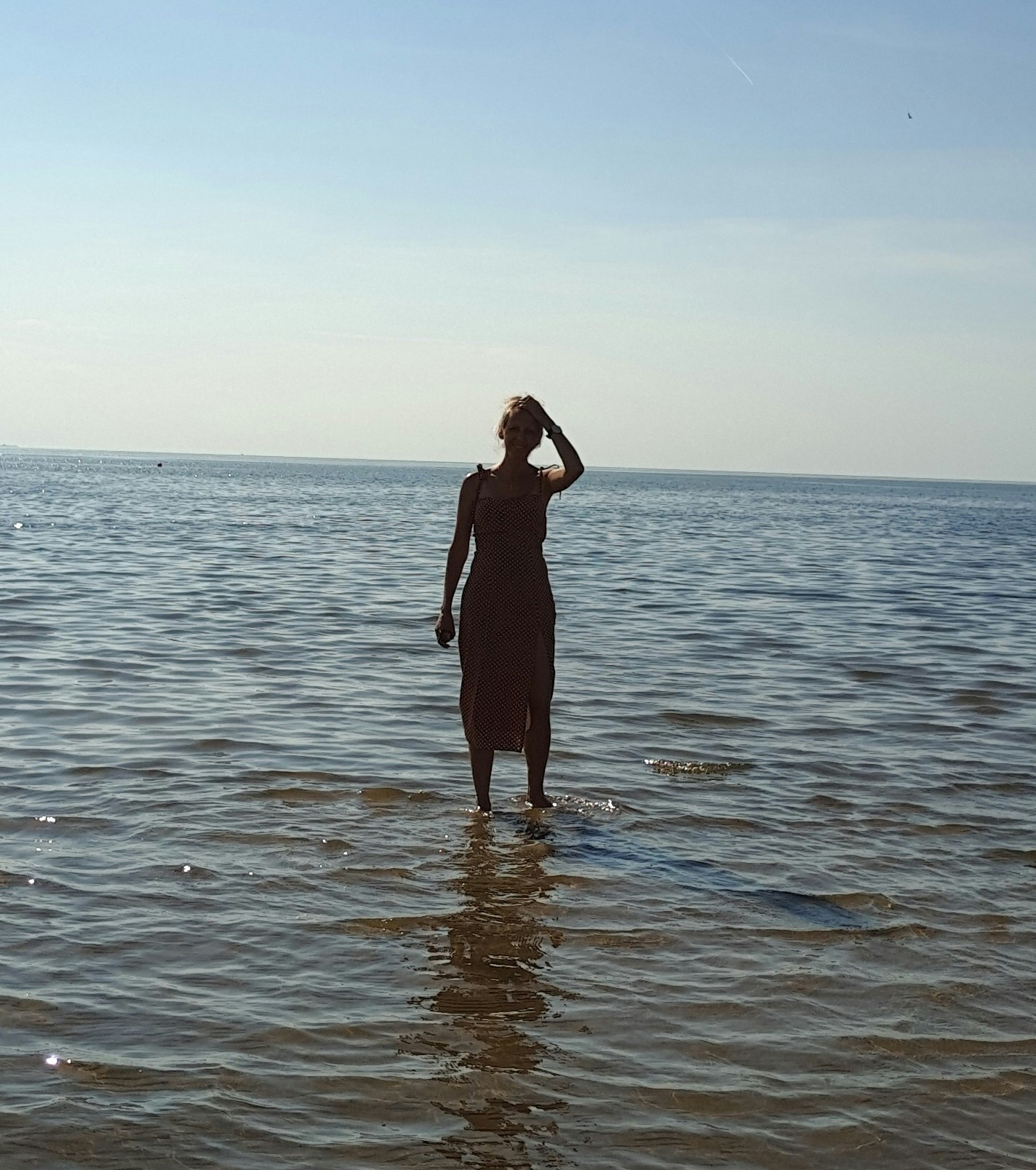 Julia Vertashのプロフィールを見る