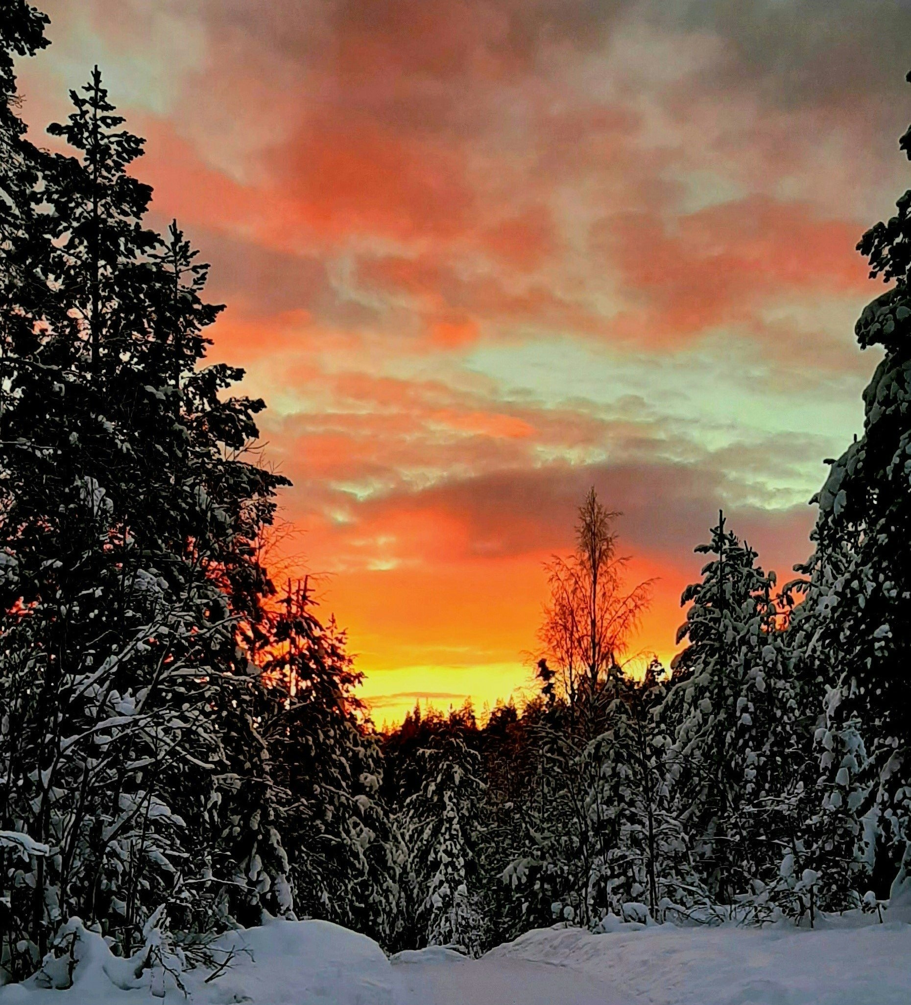 Go to Luna Charbonnier's profile