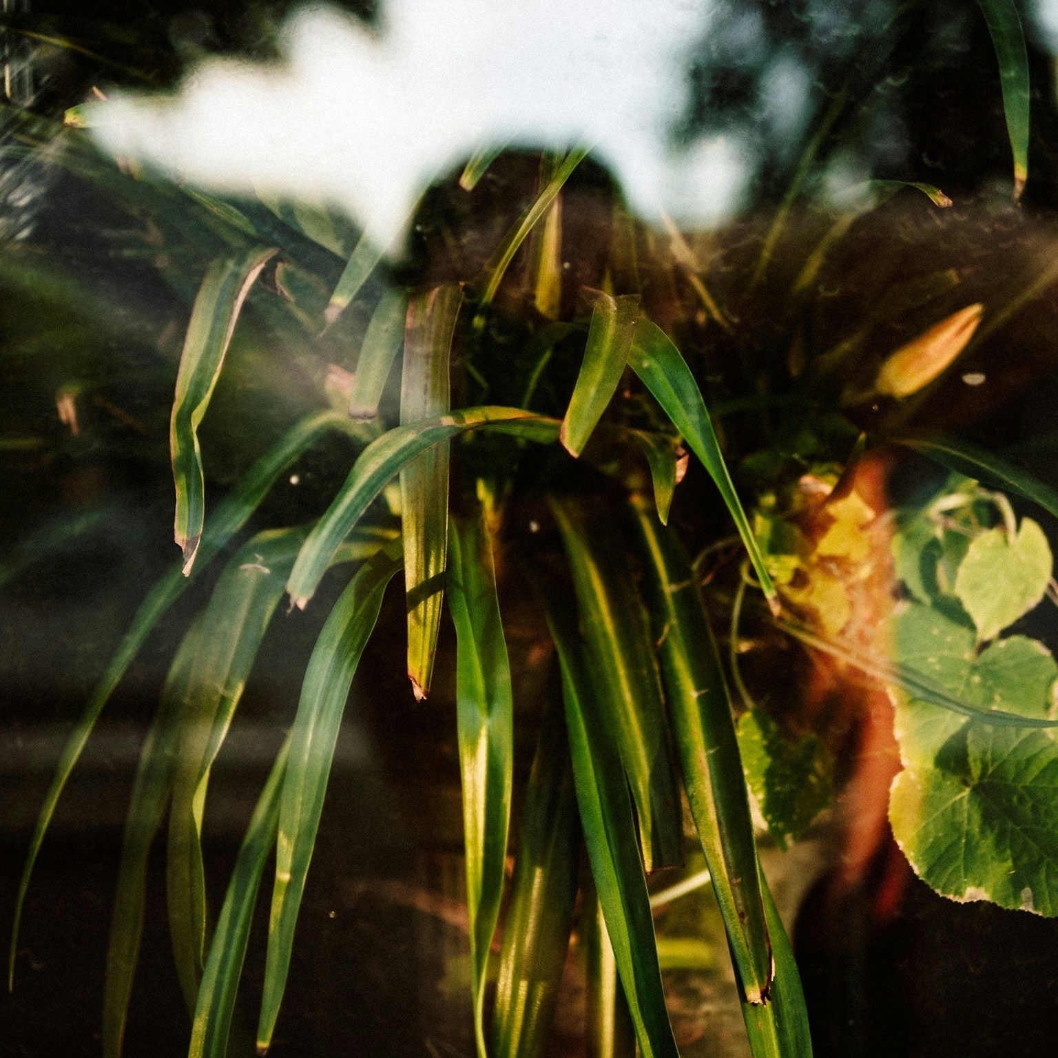 Go to Frank Luca's profile