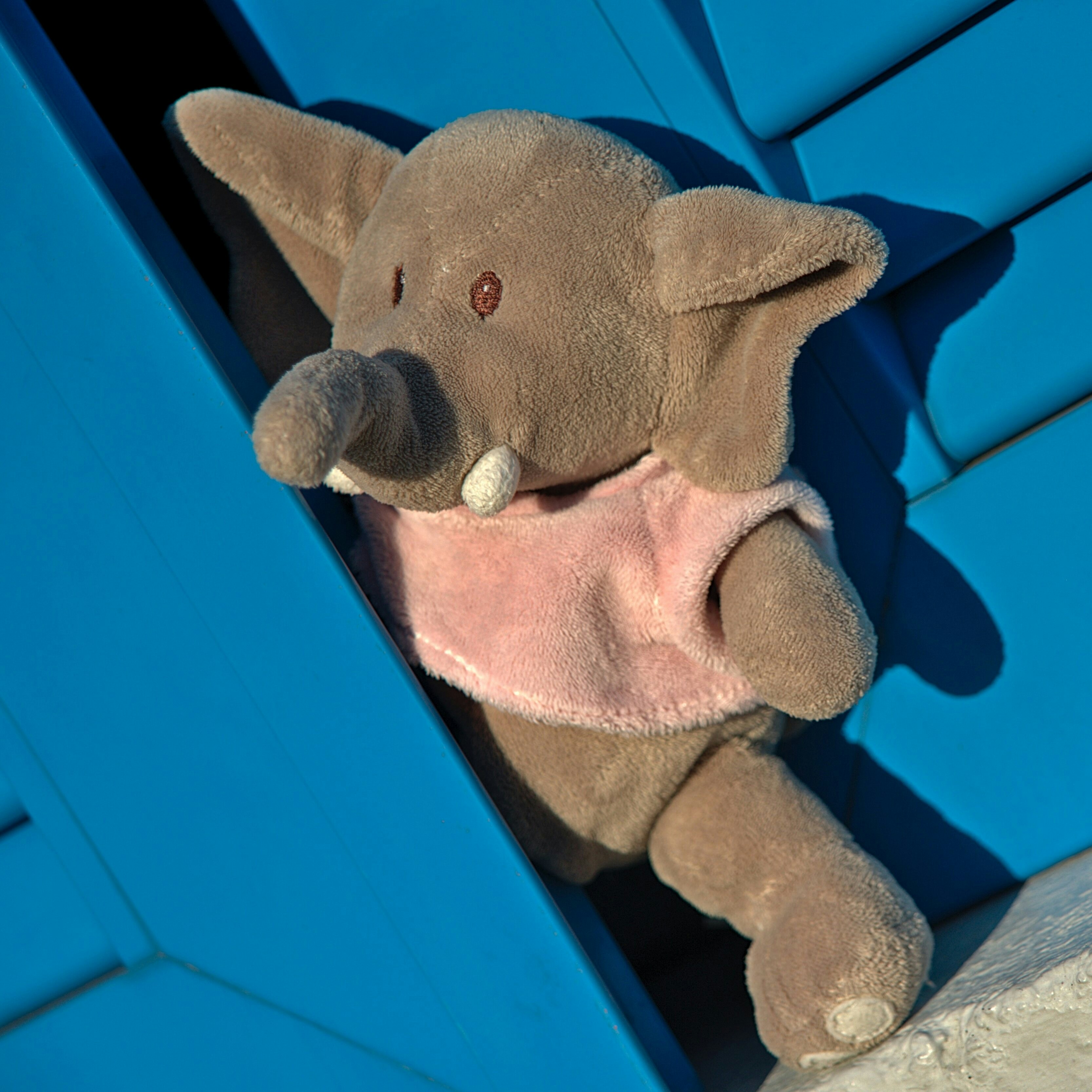 Go to Emma Corti's profile