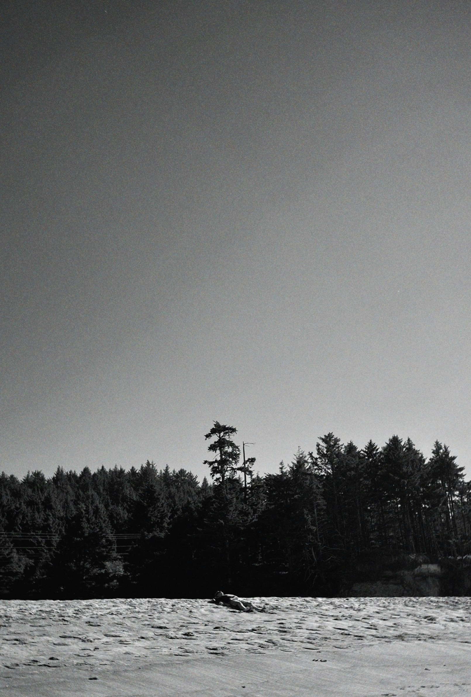 Go to shekina's profile