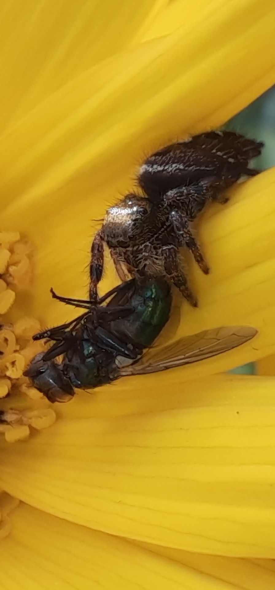 Go to Mary Hinton's profile