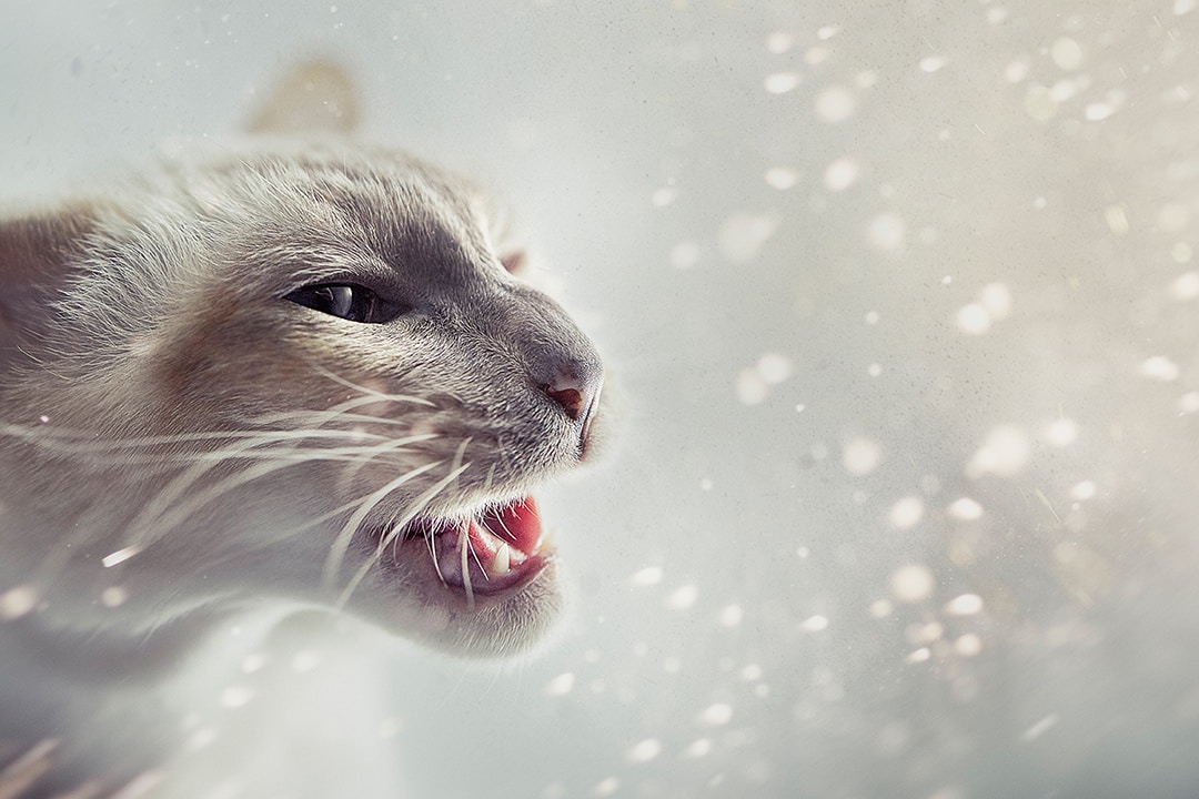 Go to Val Bond's profile