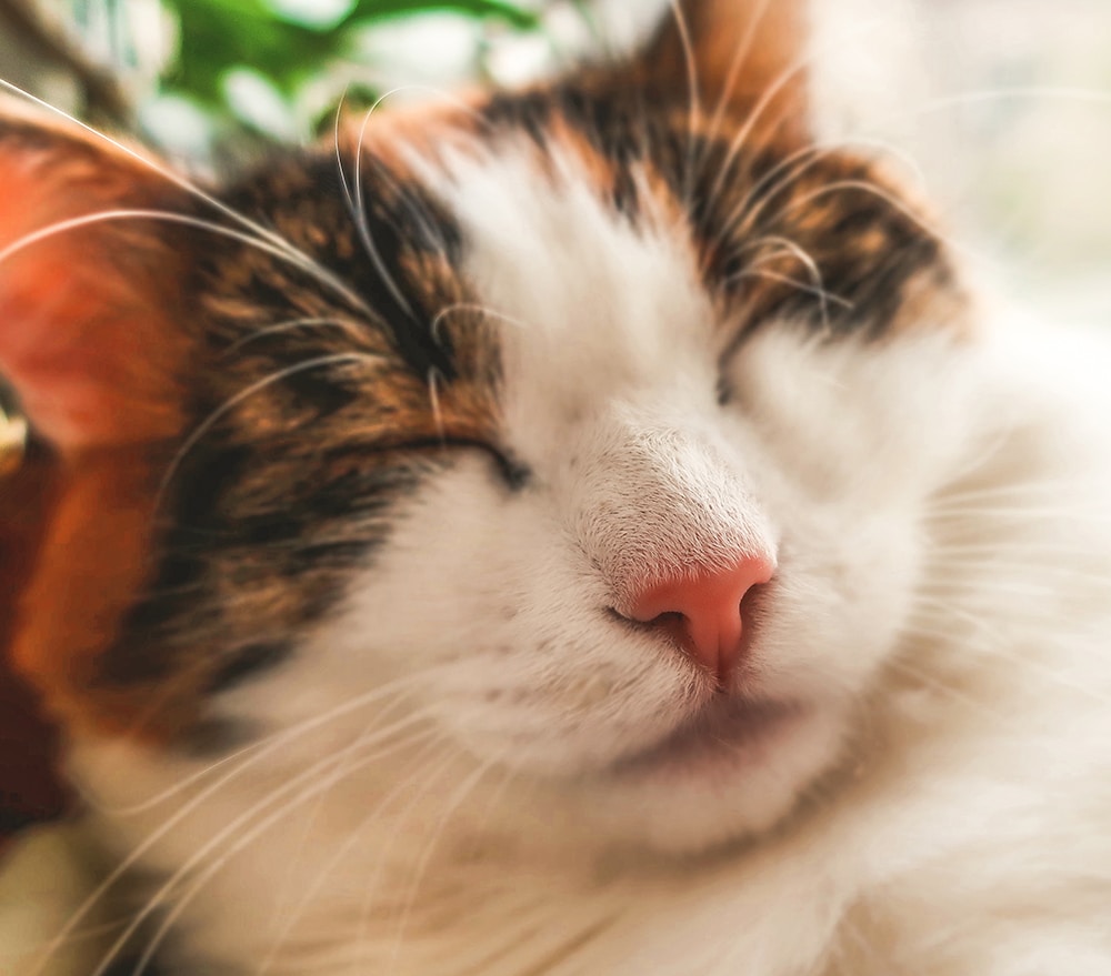 Go to Darya Karaliova's profile