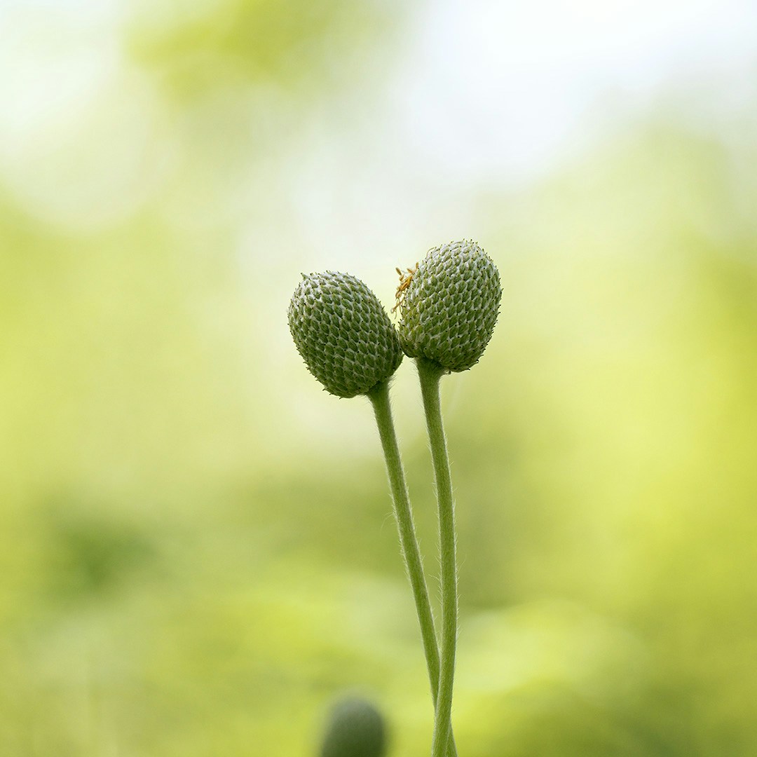 Go to Albert Kuular's profile