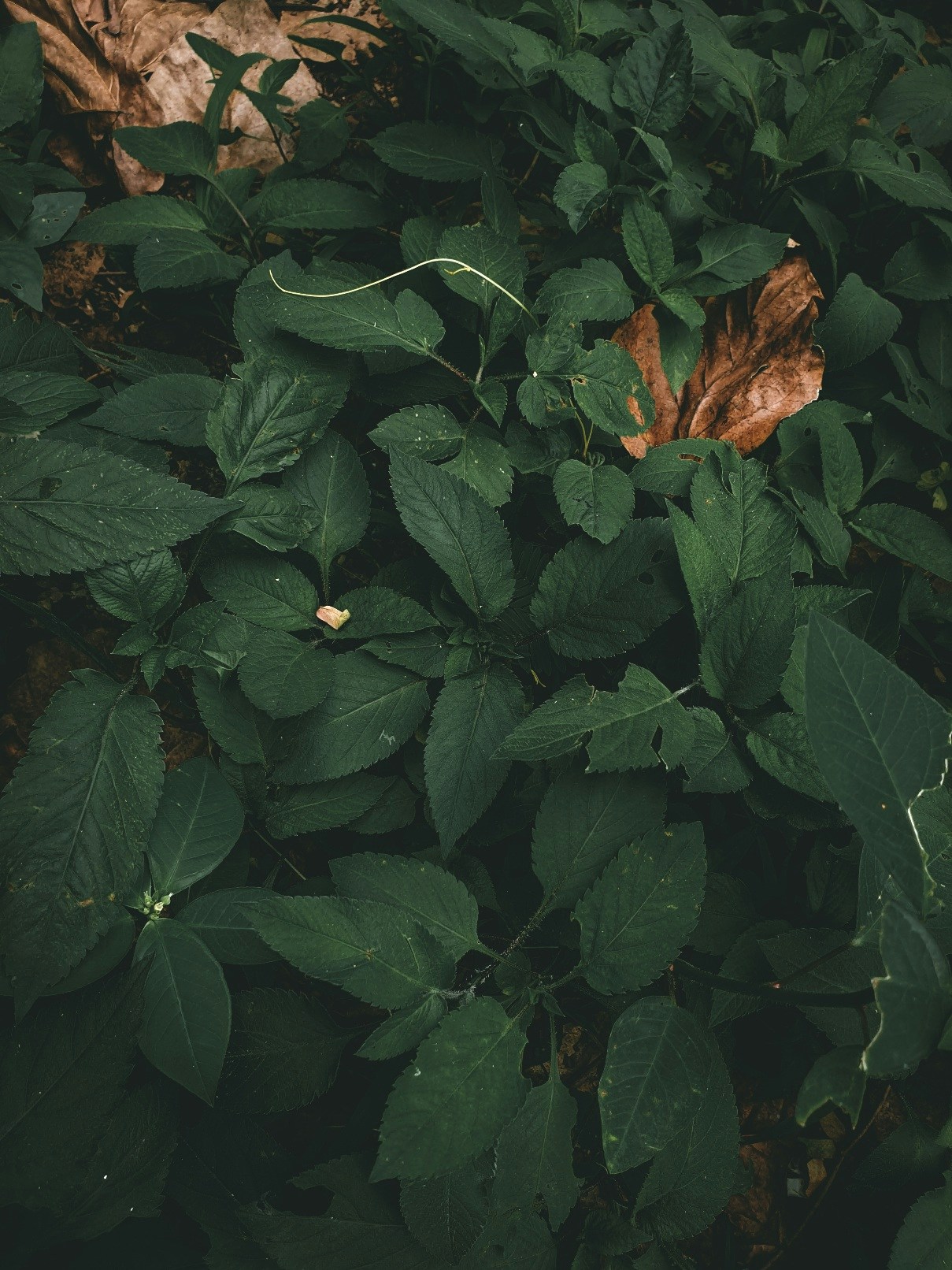 Go to Aaron Kenwood's profile