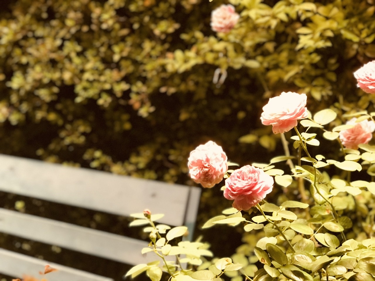 Go to Valeria Gutierrez's profile