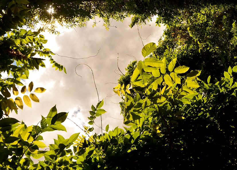 Go to Noelia Vega's profile