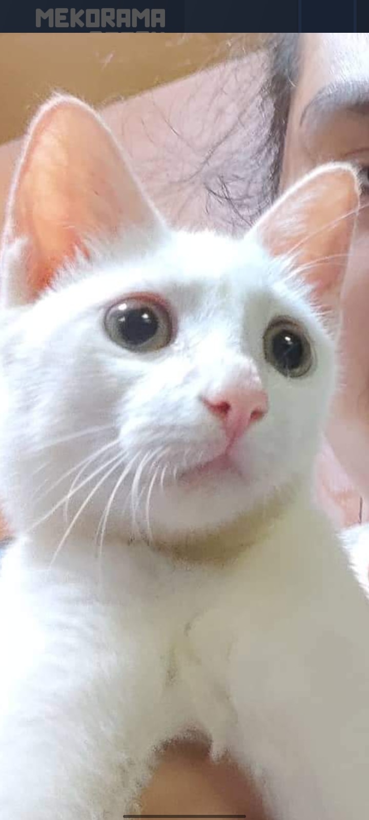 Avatar of user Jamaica Cabahug