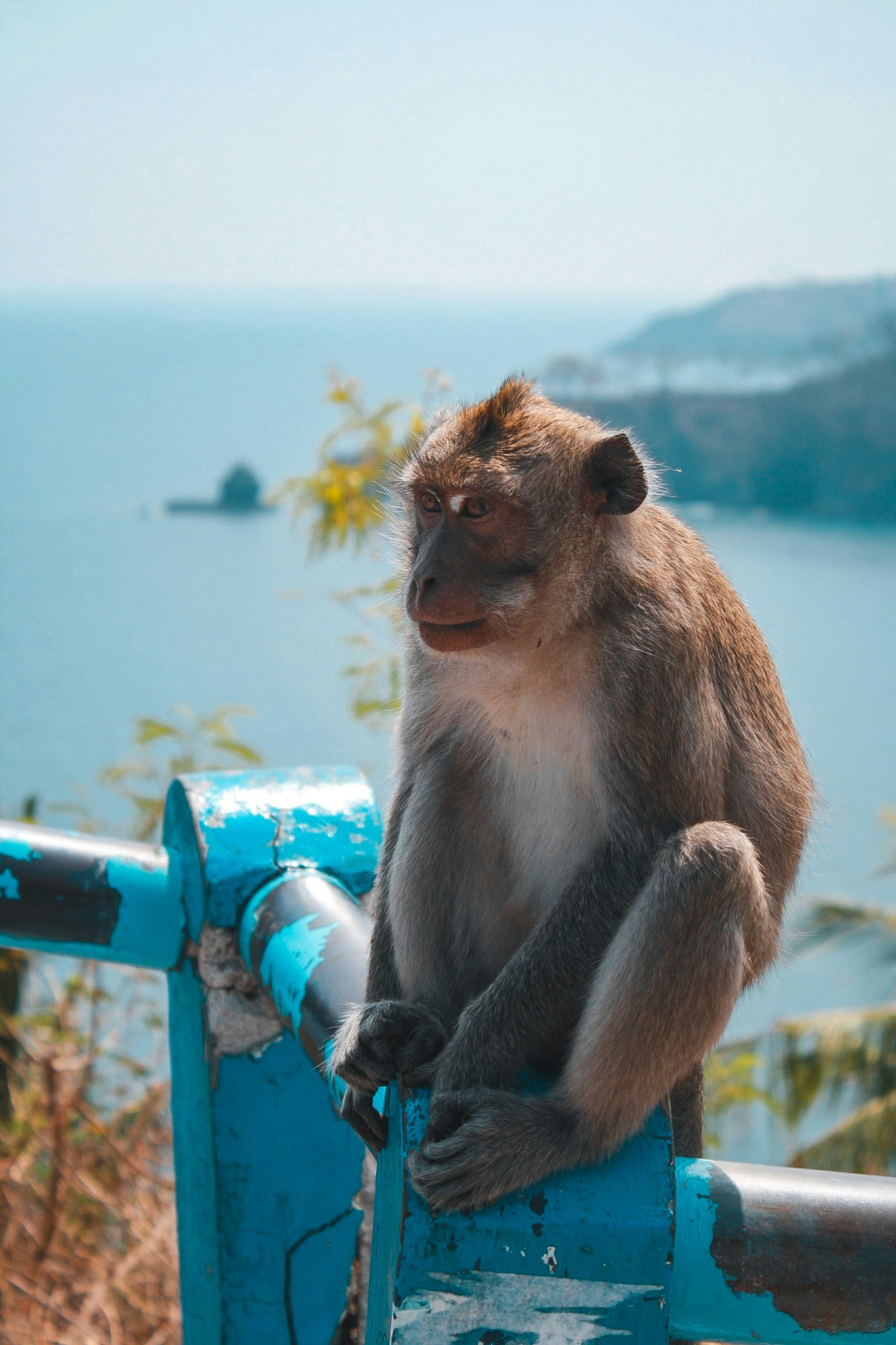 Avatar of user Aurélien Krier