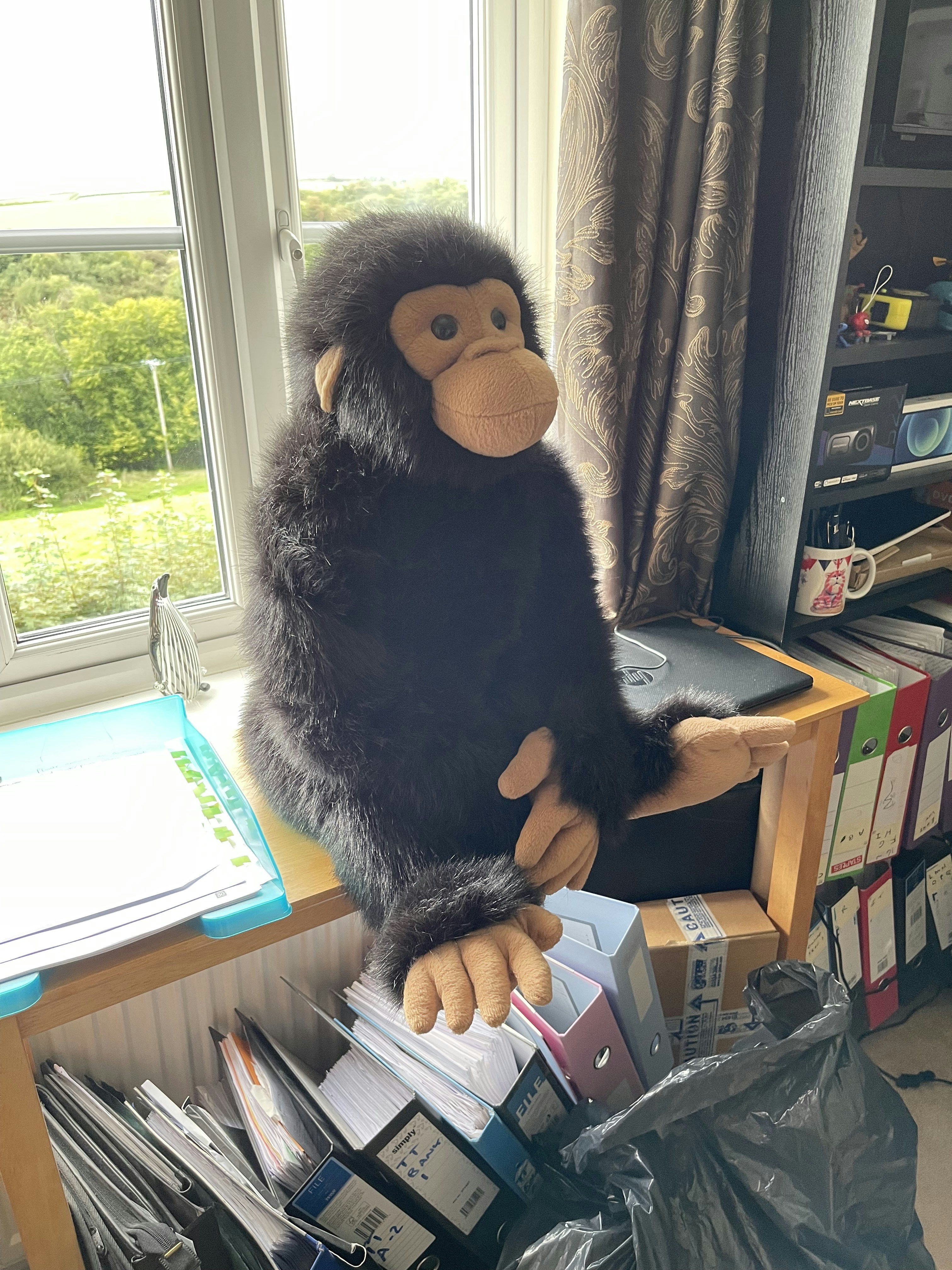 Ve al perfil de Harry Hendy