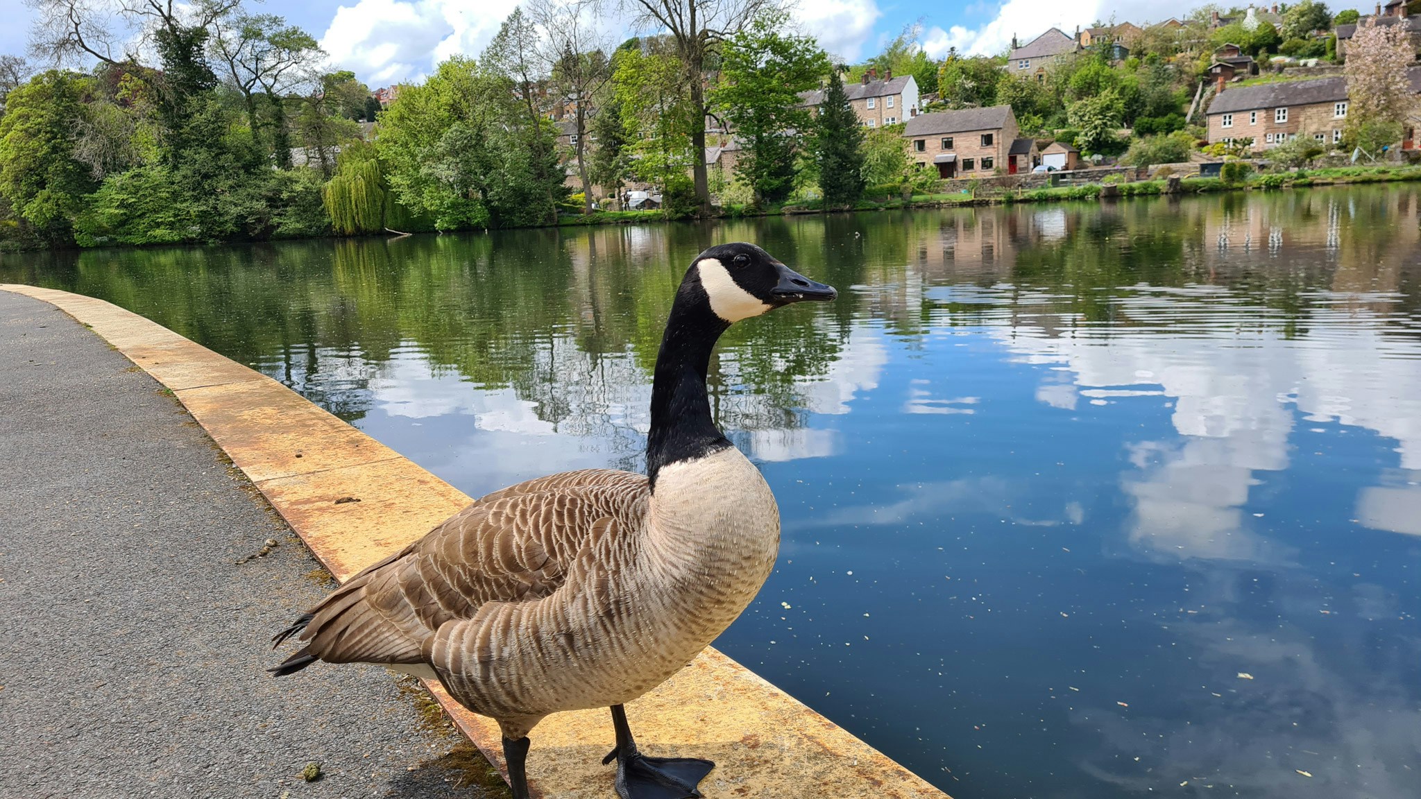 Avatar of user Izaac Lamming