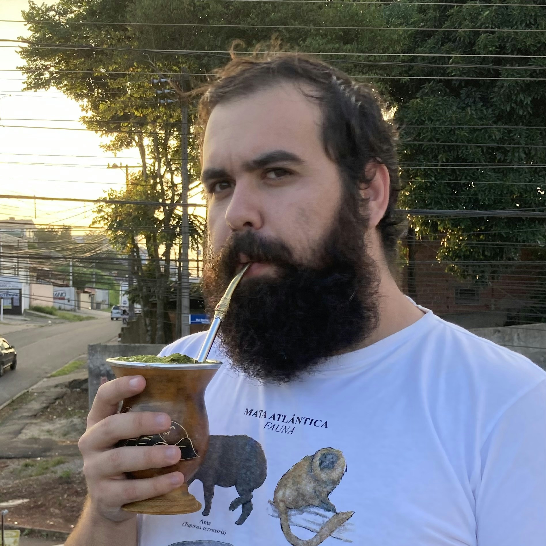 Zum Profil von Everton Perigo