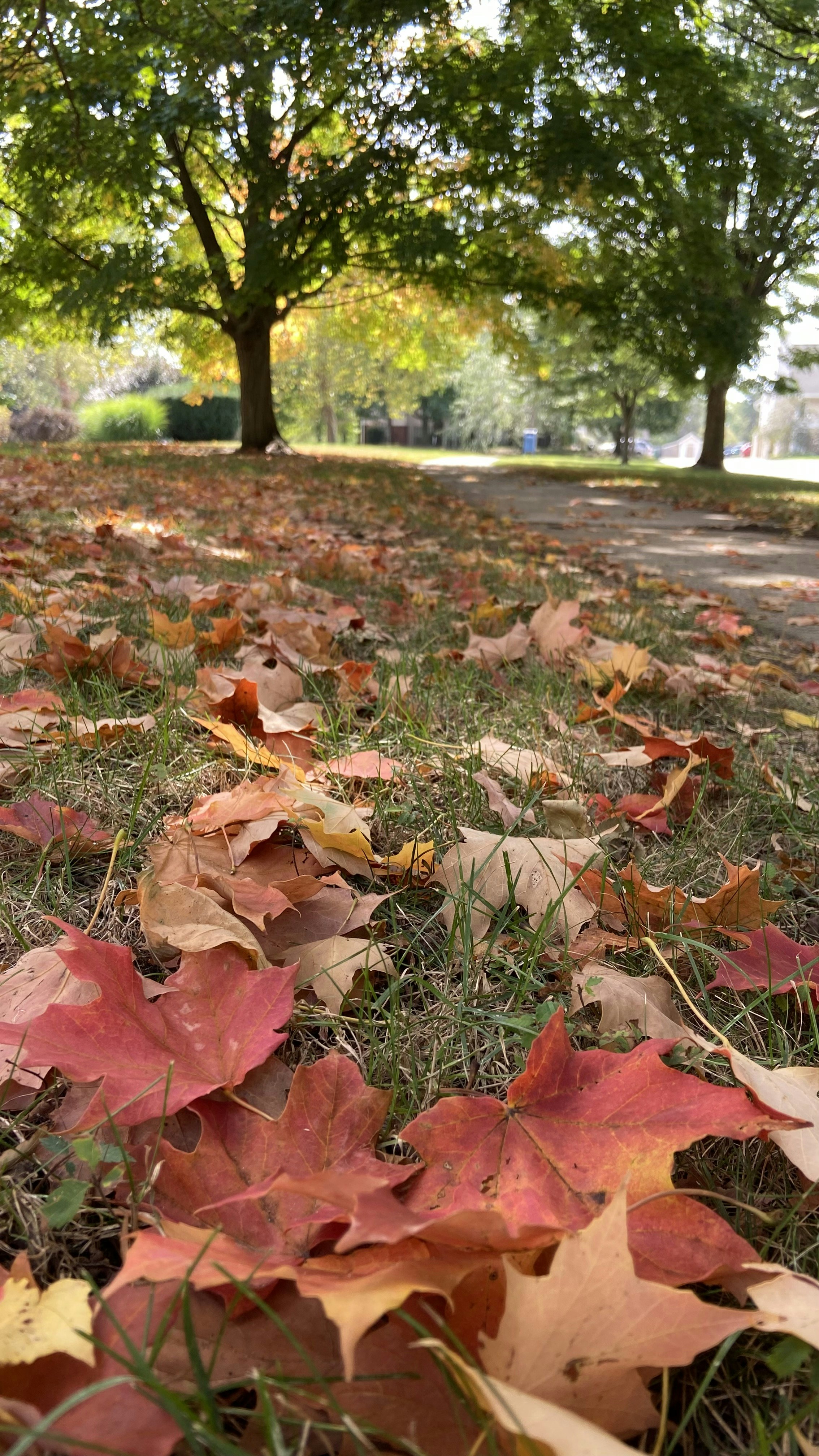 Vai al profilo di Amr badreen