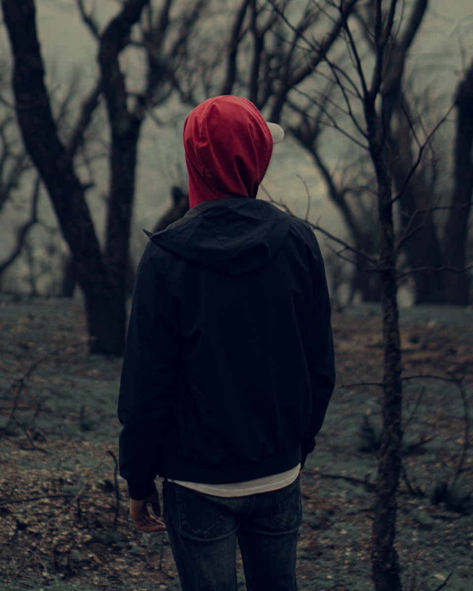 Go to Salah Eddine Haddad's profile