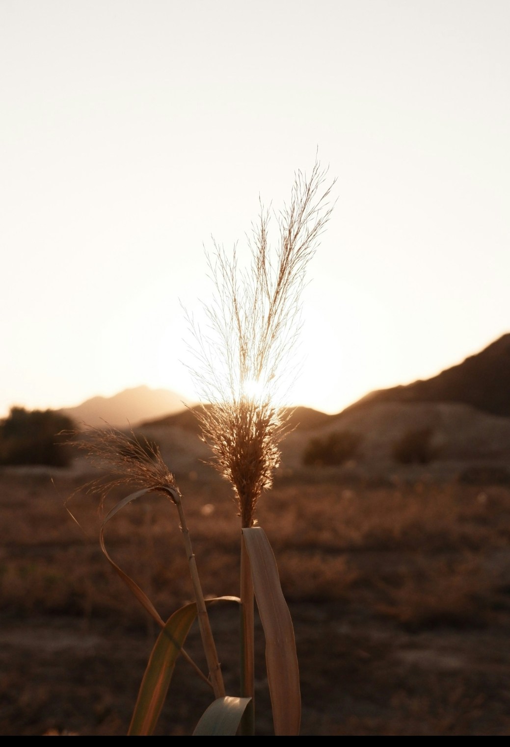 Go to Imam Abiyyu's profile