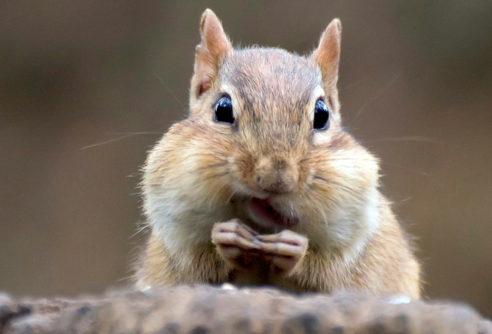 Go to Mister A's profile