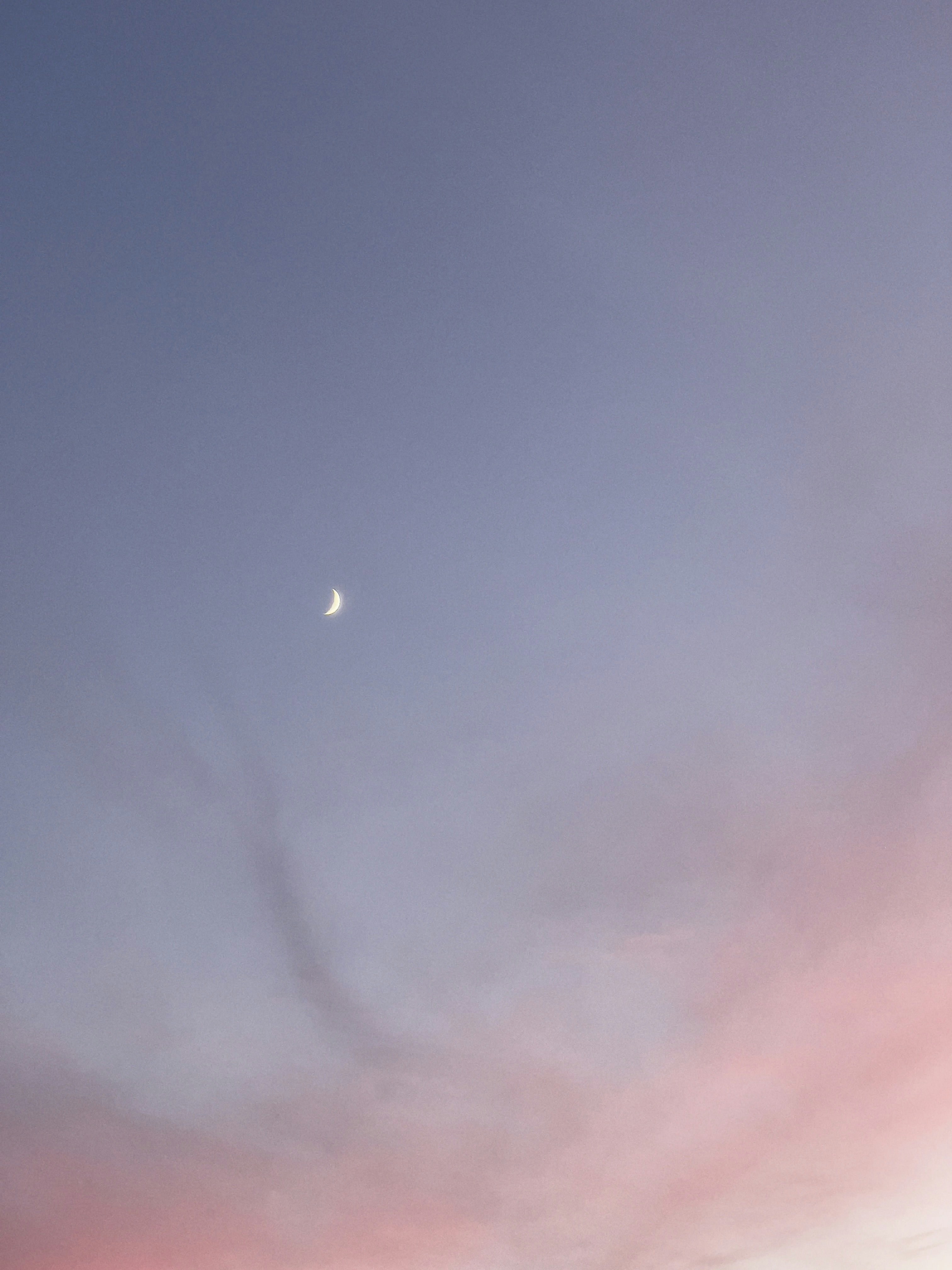 Go to Walkator's profile