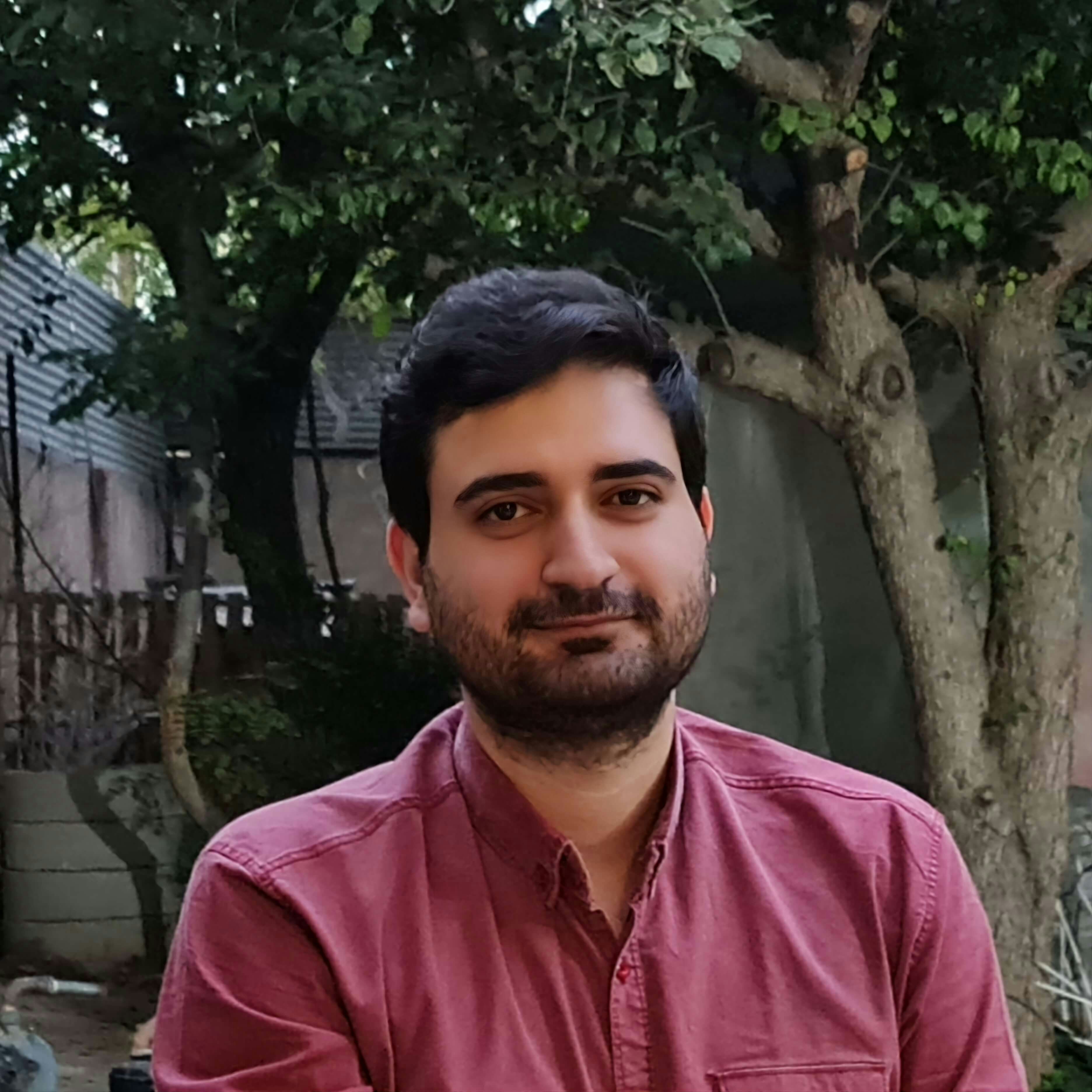 Vai al profilo di Amir Mohammad Azarmehri