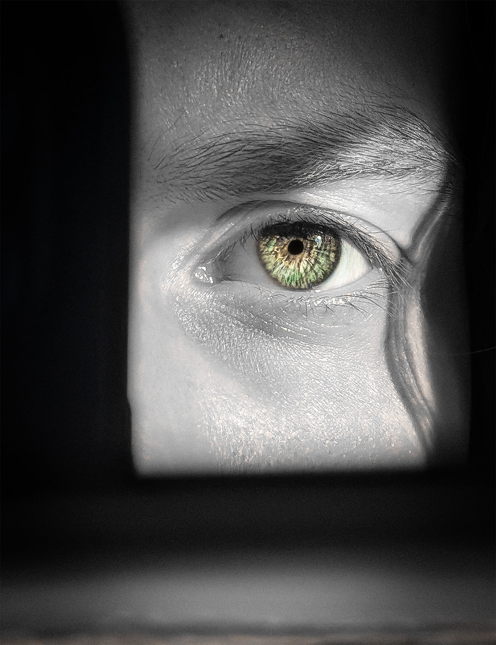 Avatar of user Alex Shuper