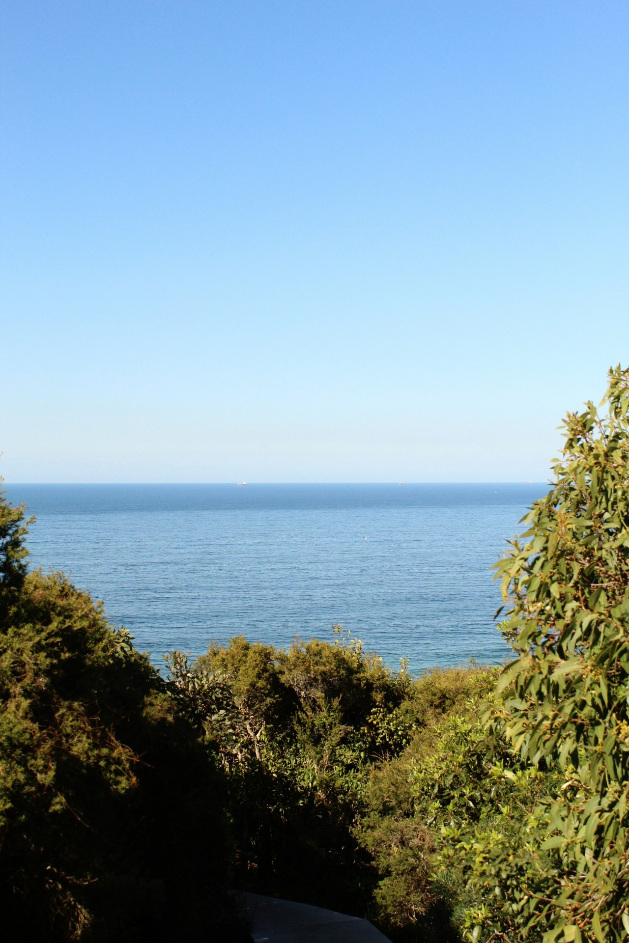 Go to hayley's profile