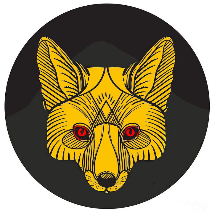 Ve al perfil de Jiri Horych