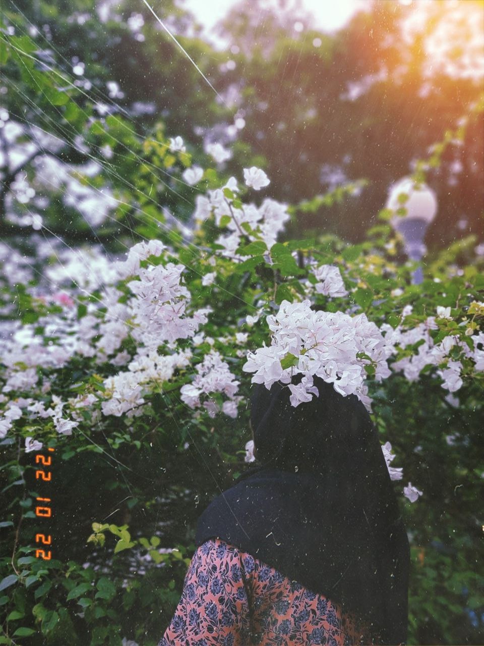 Zum Profil von Schiba