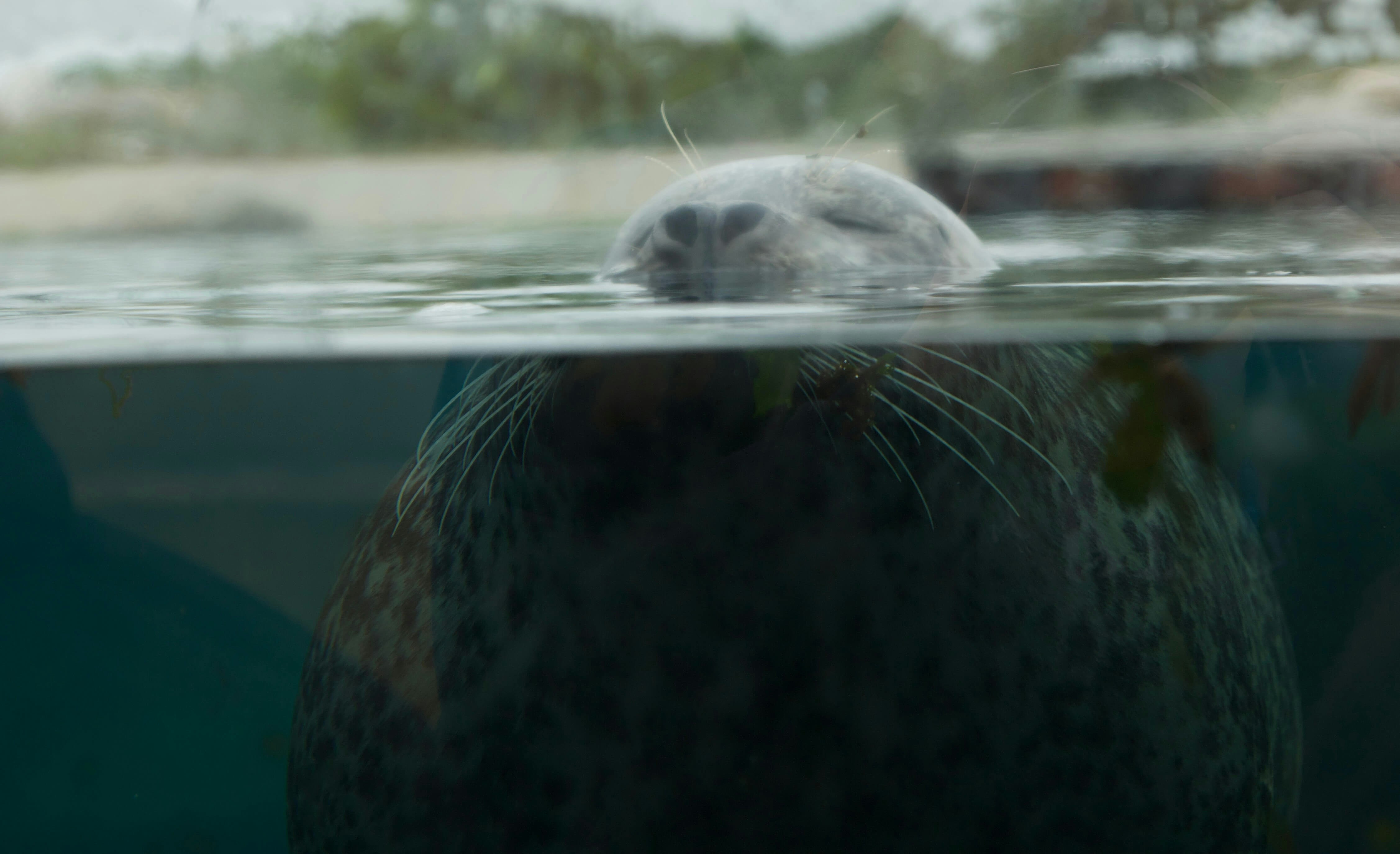 Go to Åsmund Helland's profile