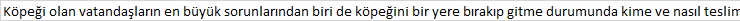 Unsplash profile picture for @kopek12