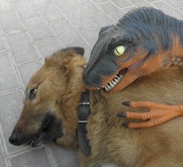 Go to Rohan Rex's profile