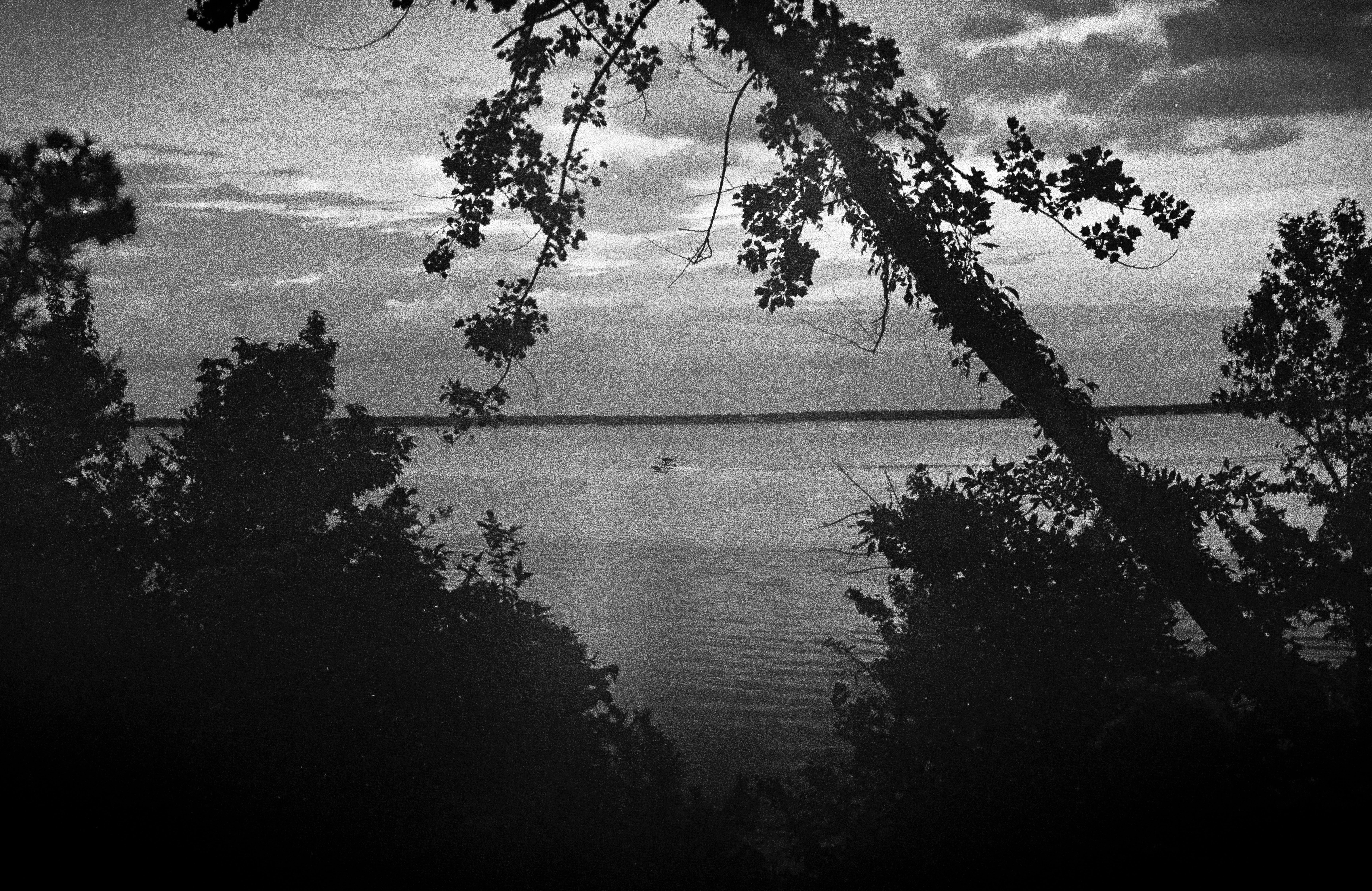 Go to Gabriel Soto's profile